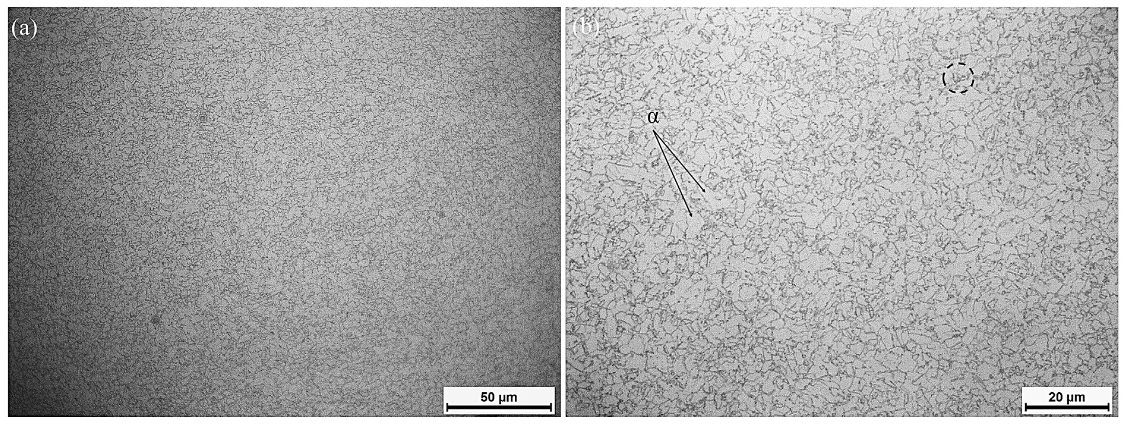 Crystals 14 00609 g008