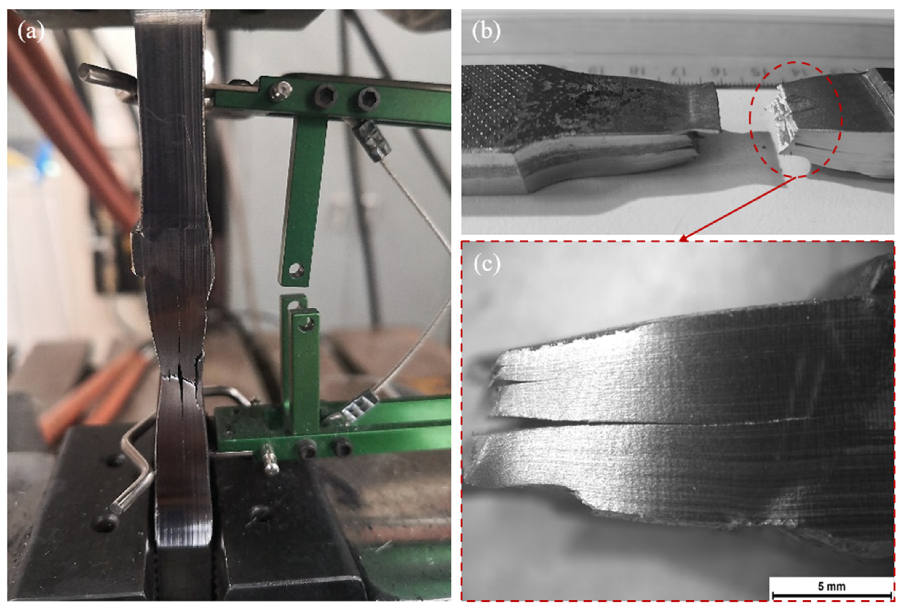 Crystals 14 00609 g011