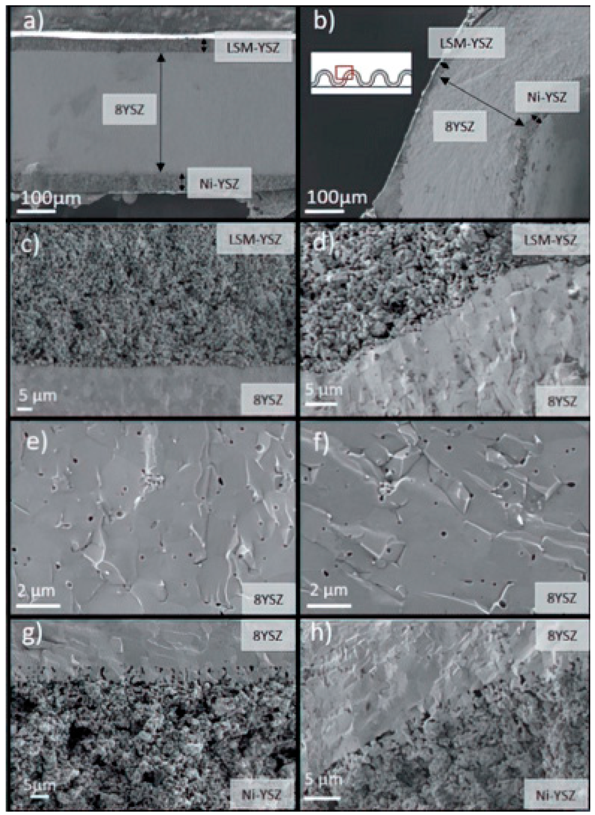 Crystals 14 00623 g018