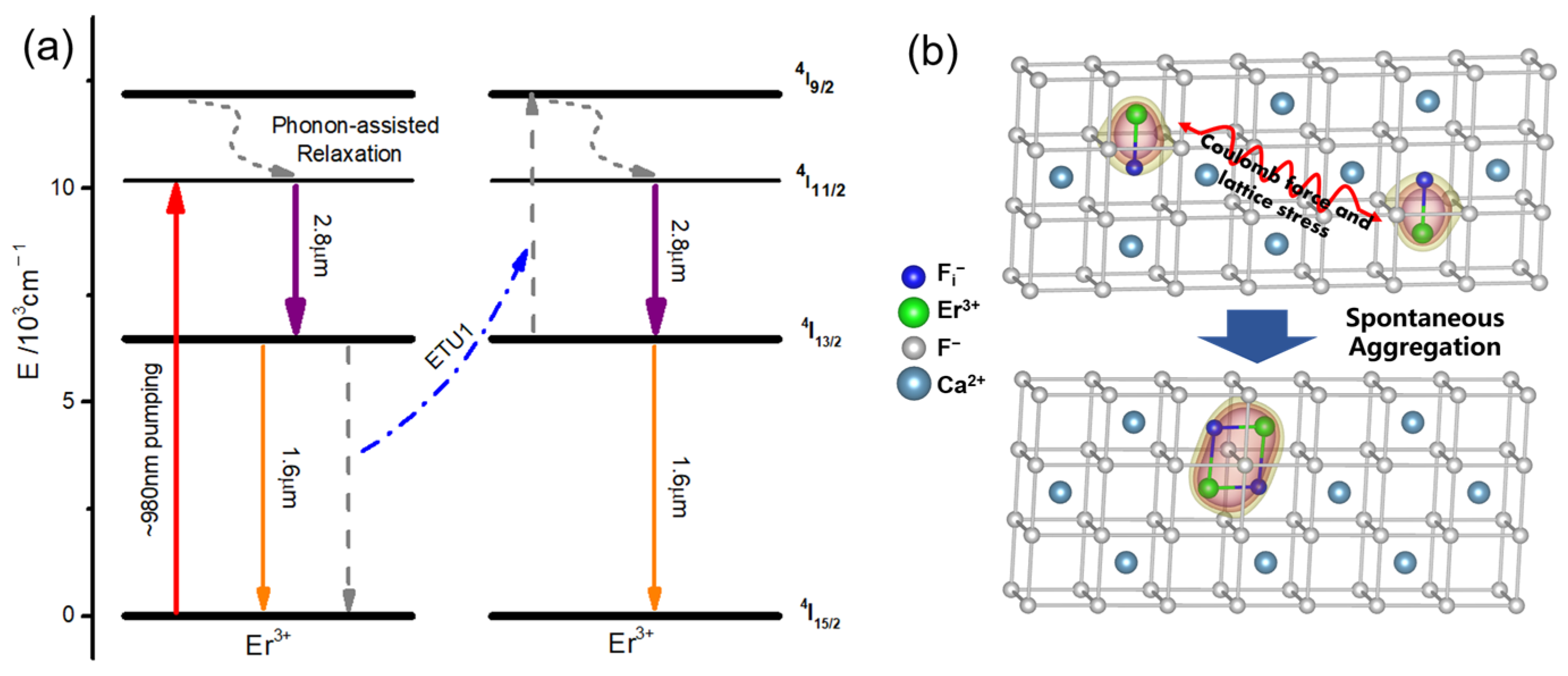 Crystals 14 00639 g001