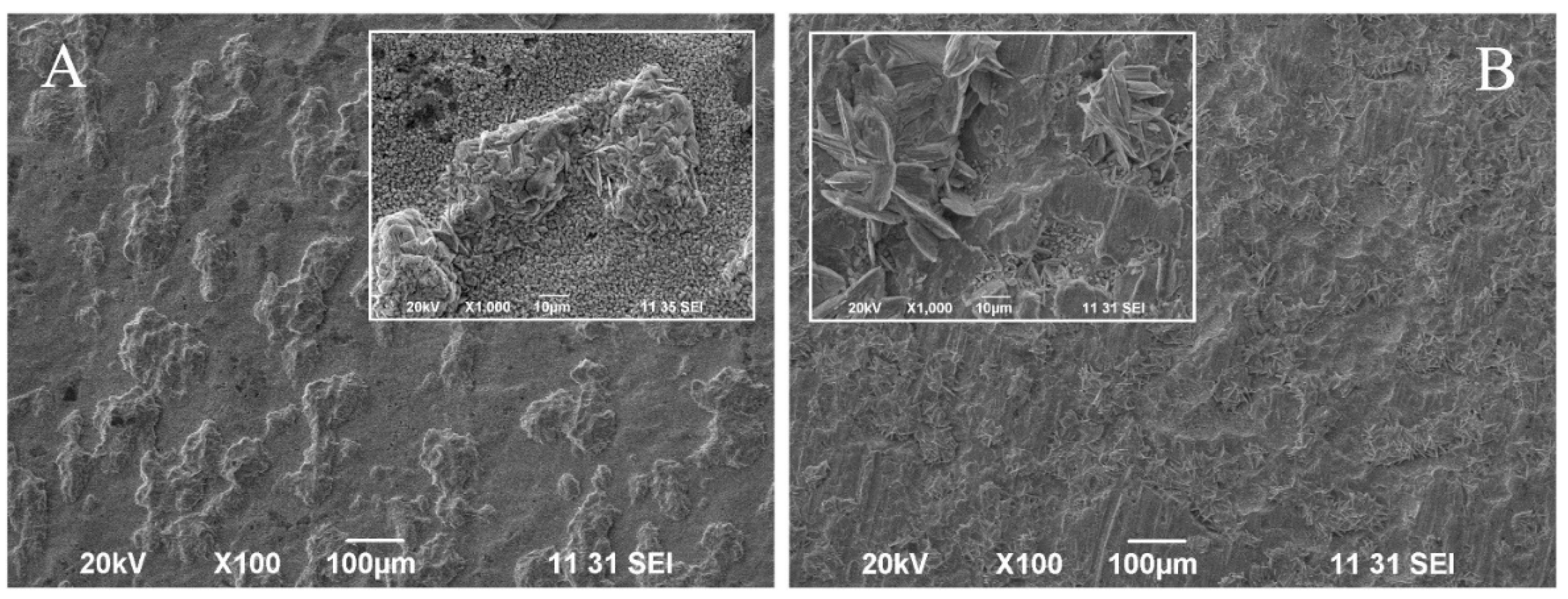 Crystals 14 00660 g004