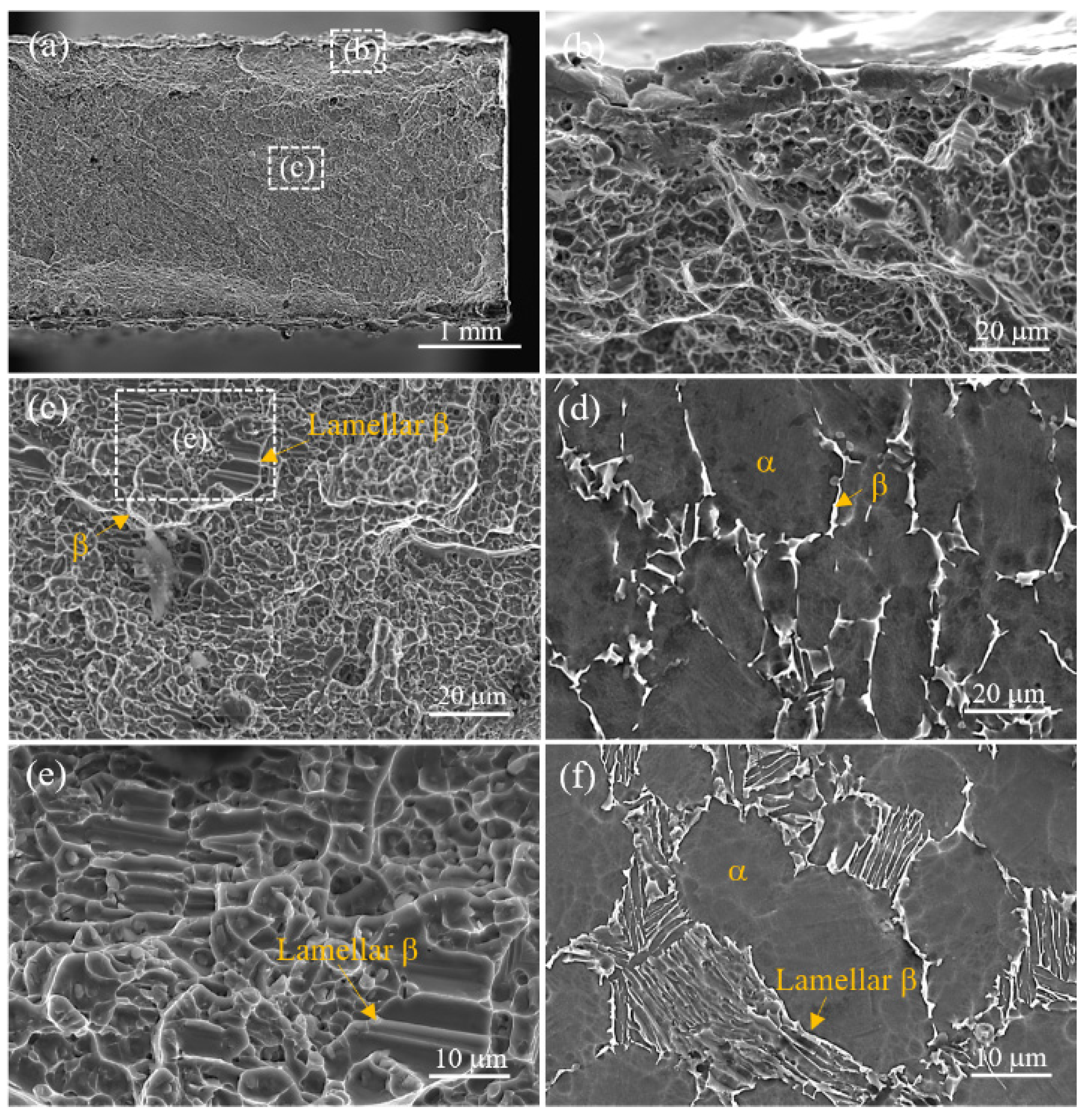 Crystals 14 00677 g011