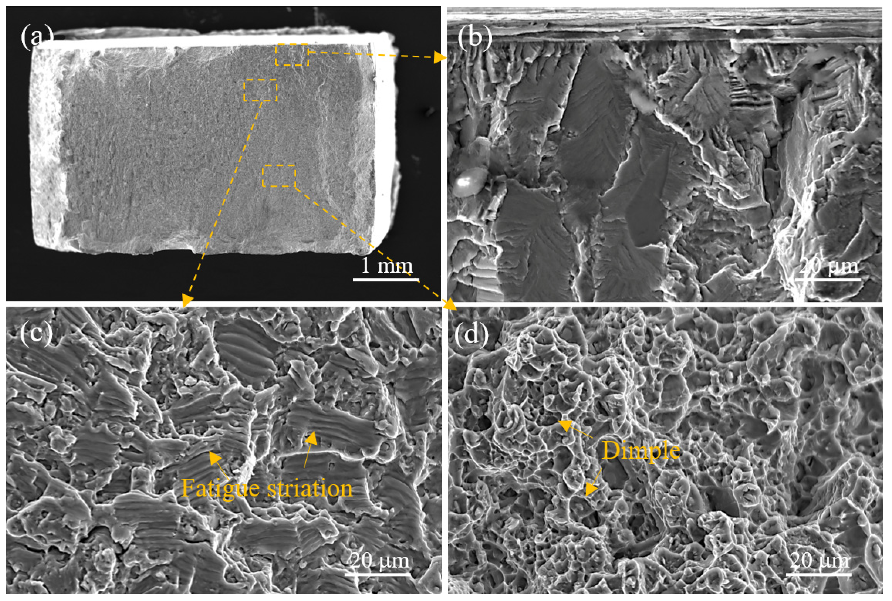 Crystals 14 00677 g012