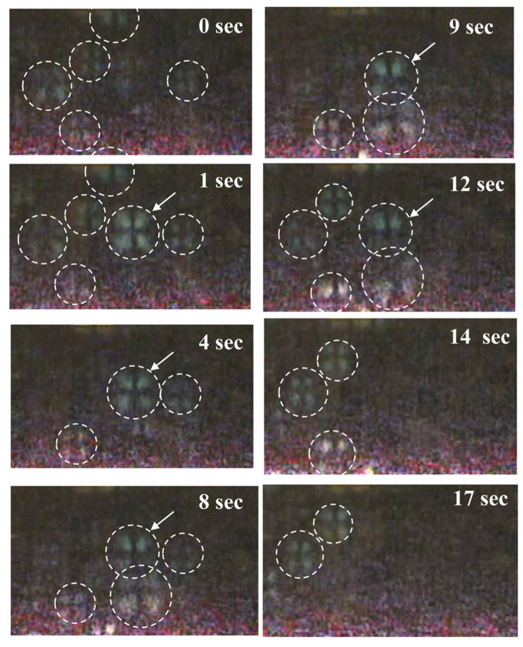 Crystals 14 00681 g041 Crystals 14 00681 g041