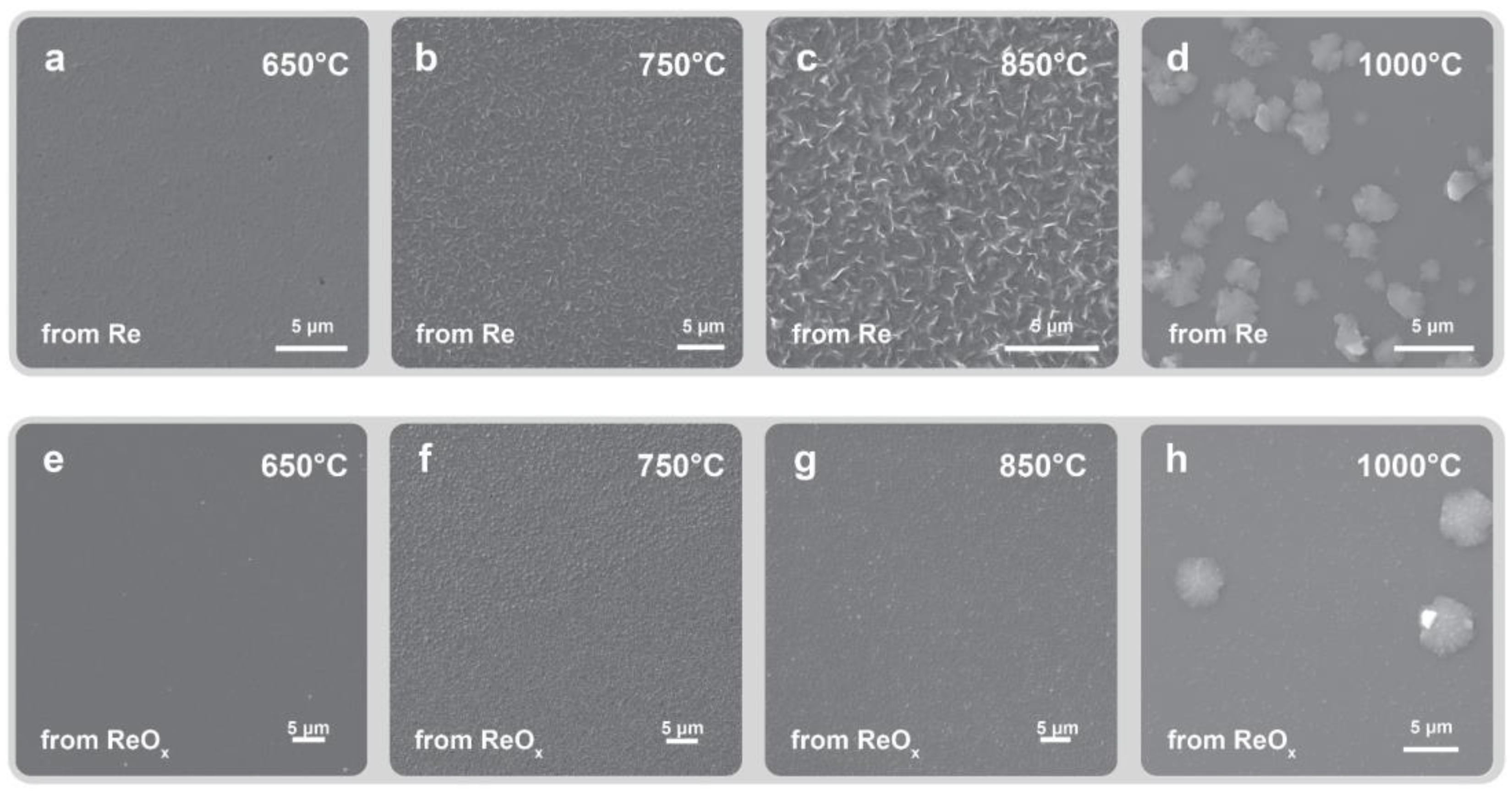 Crystals 14 00690 g004