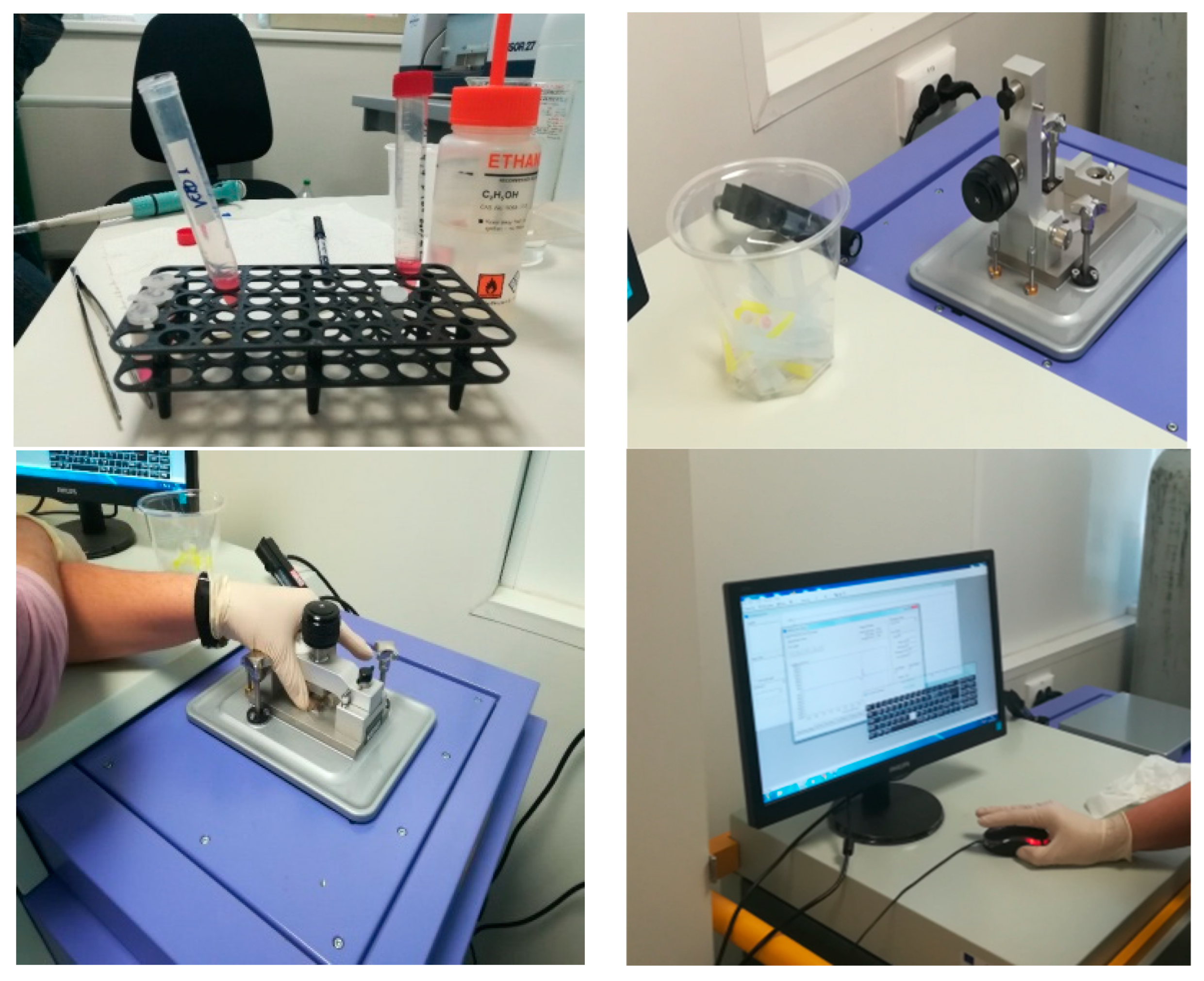 Crystals 14 00696 g010