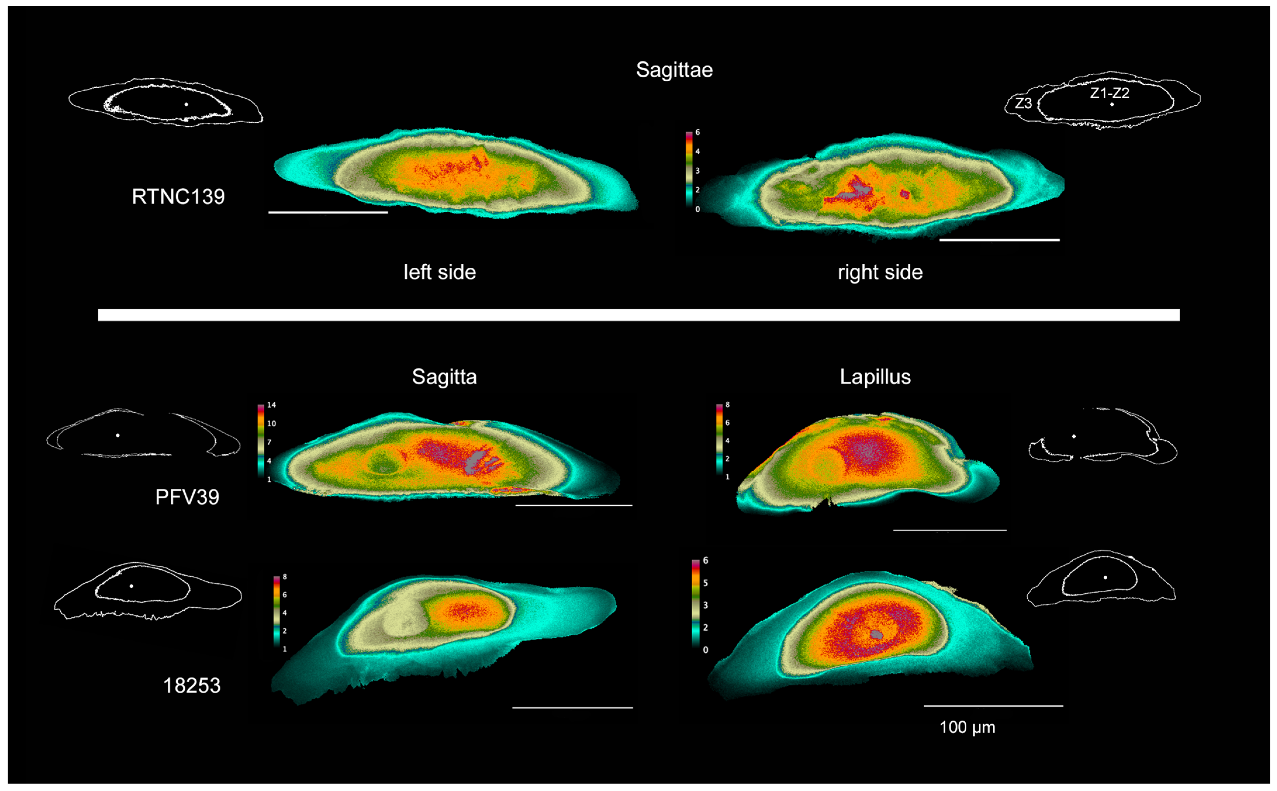 Crystals 14 00705 g002
