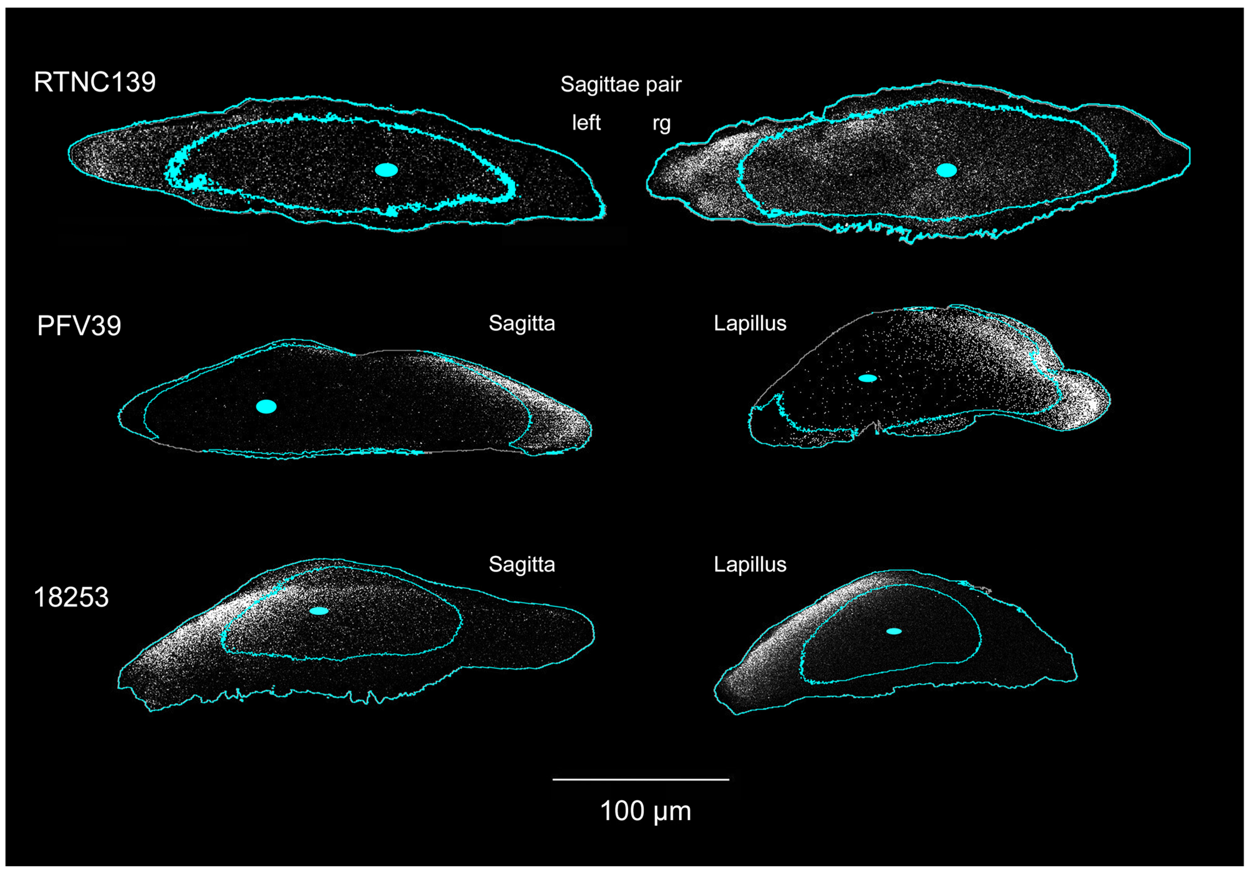 Crystals 14 00705 g006