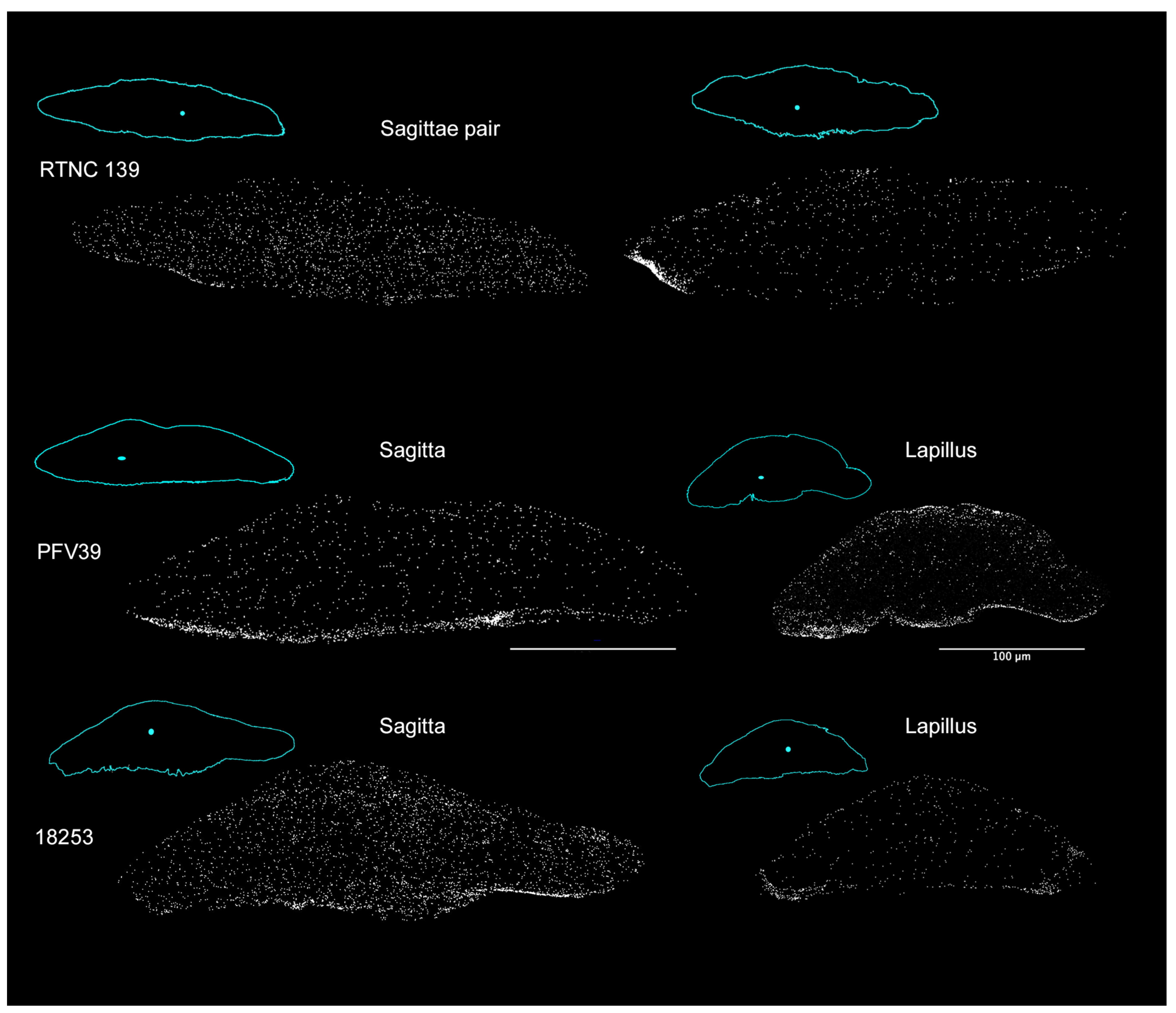 Crystals 14 00705 g007