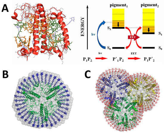 Crystals 14 00743 g002