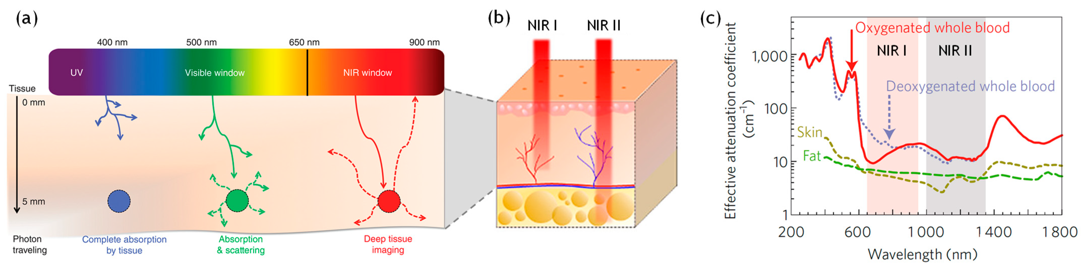 Crystals 14 00762 g004
