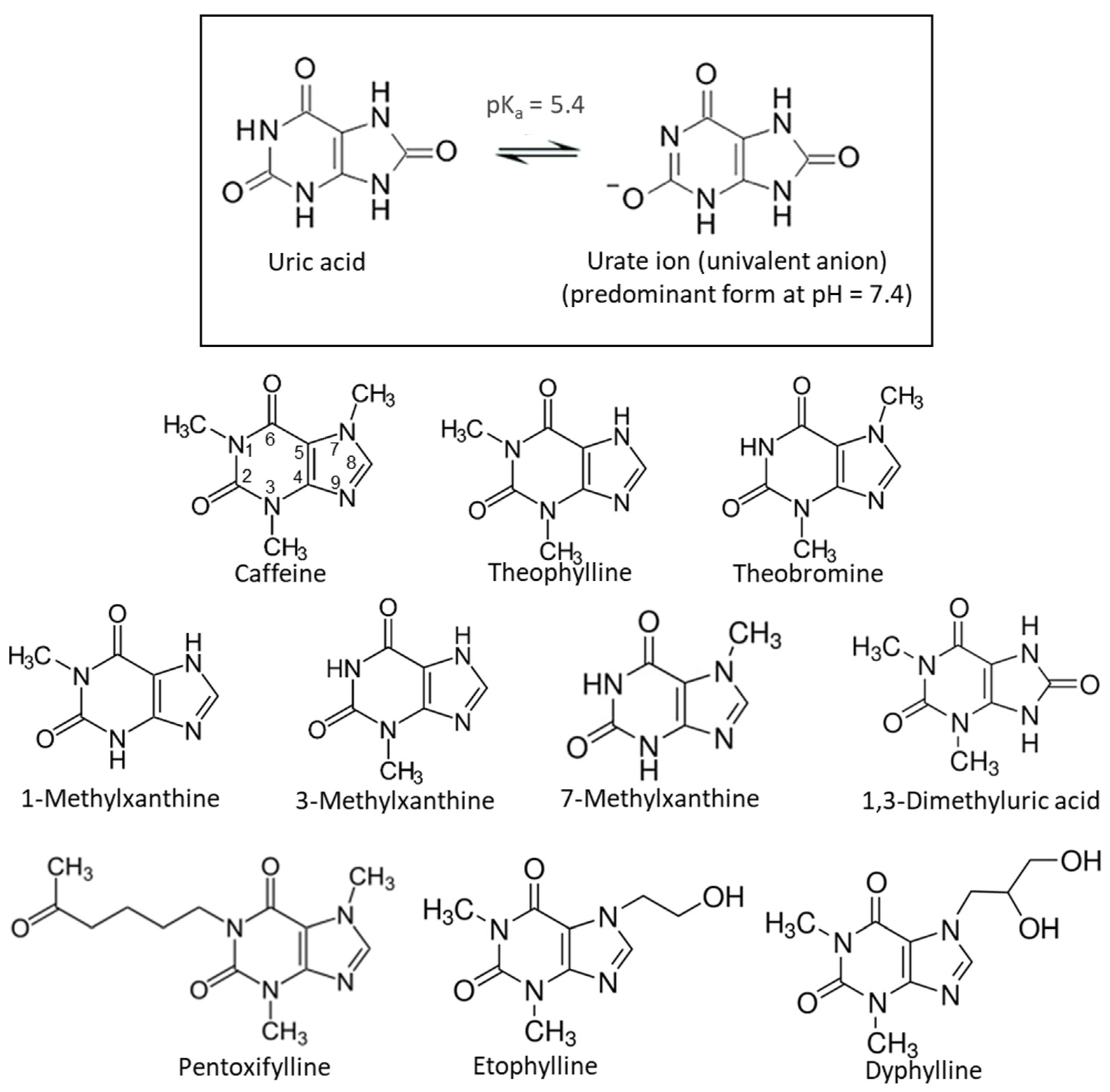 Crystals 14 00768 g001
