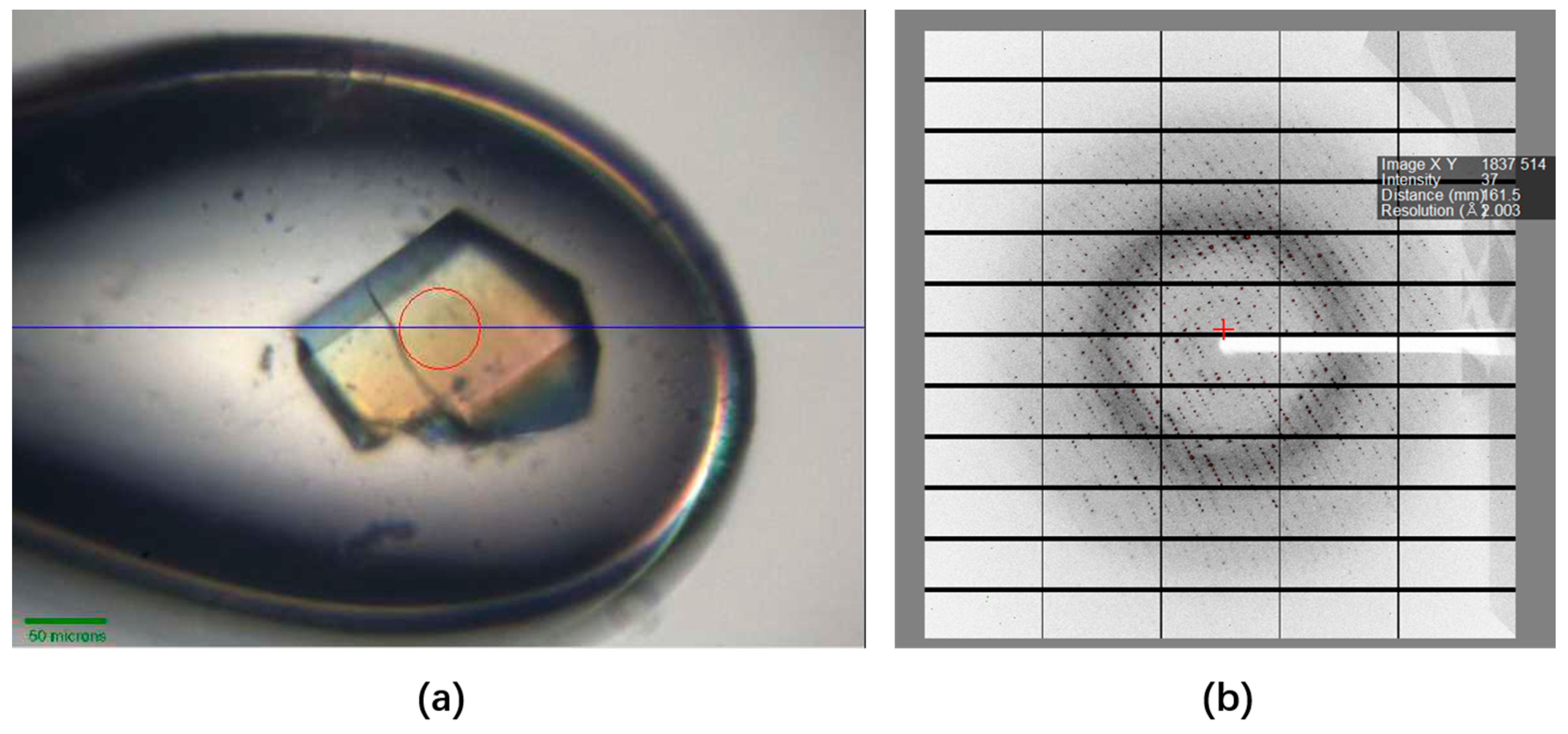 Crystals 14 00771 g001 Crystals 14 00771 g001