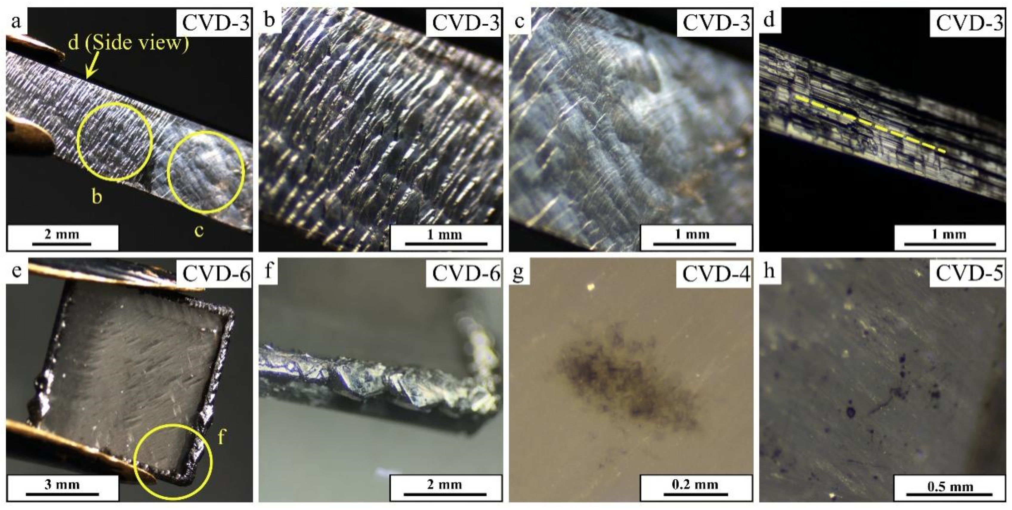 Crystals 14 00804 g001