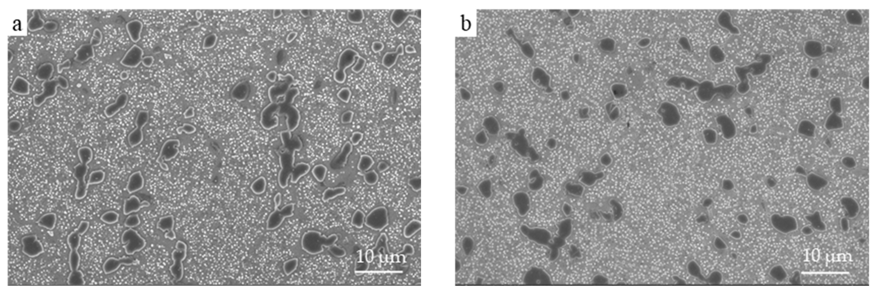 Crystals 14 00851 g005a