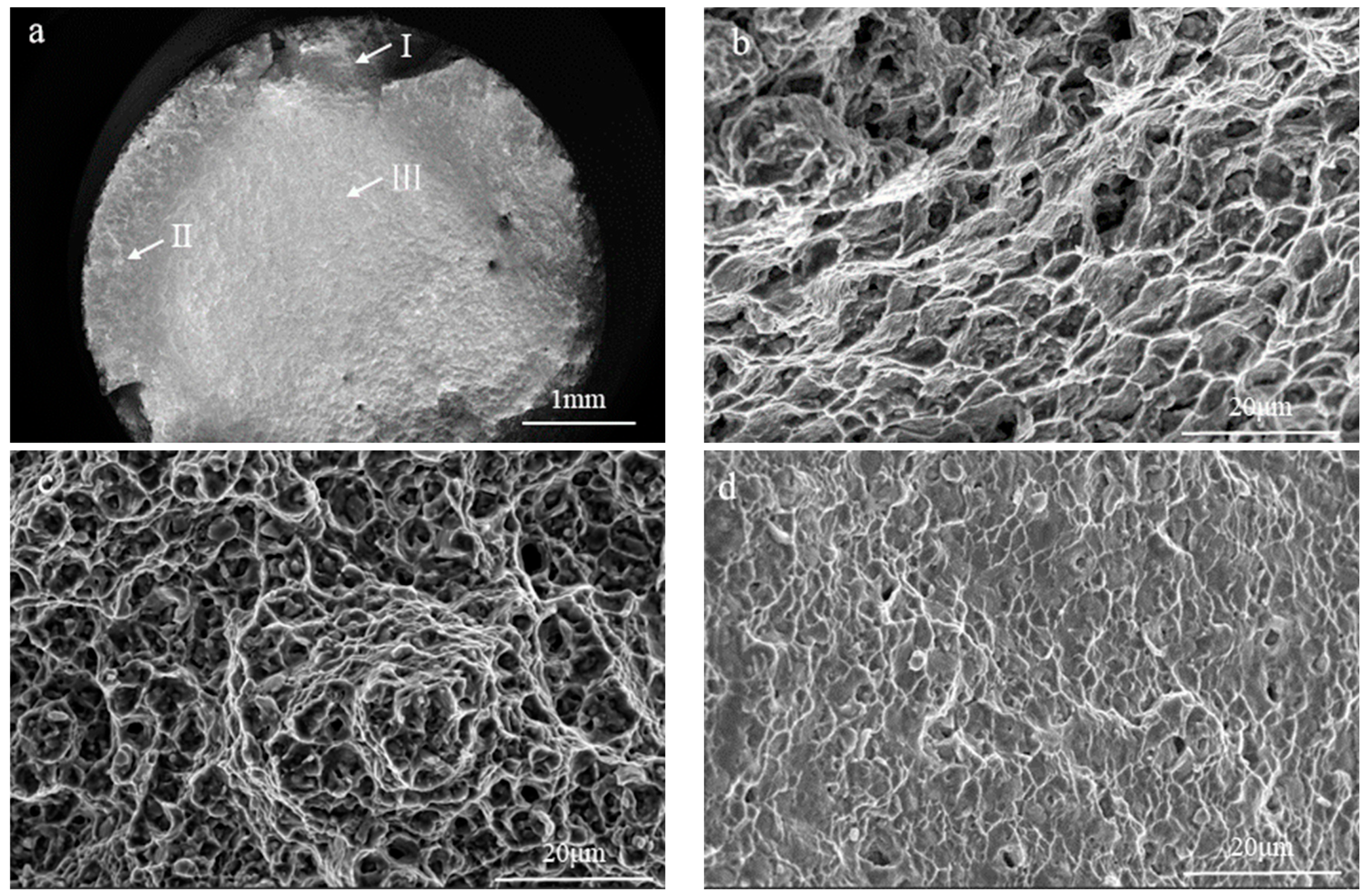 Crystals 14 00851 g008