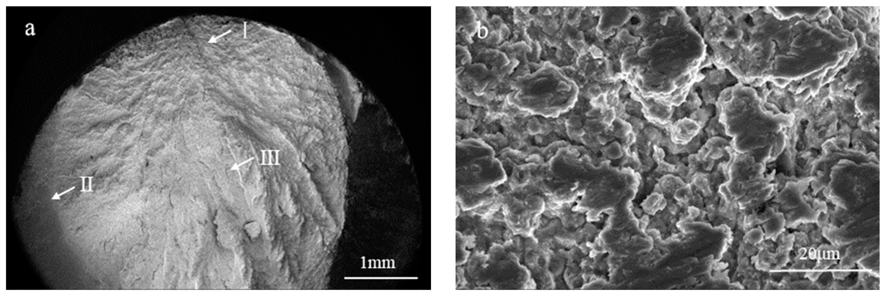 Crystals 14 00851 g010a