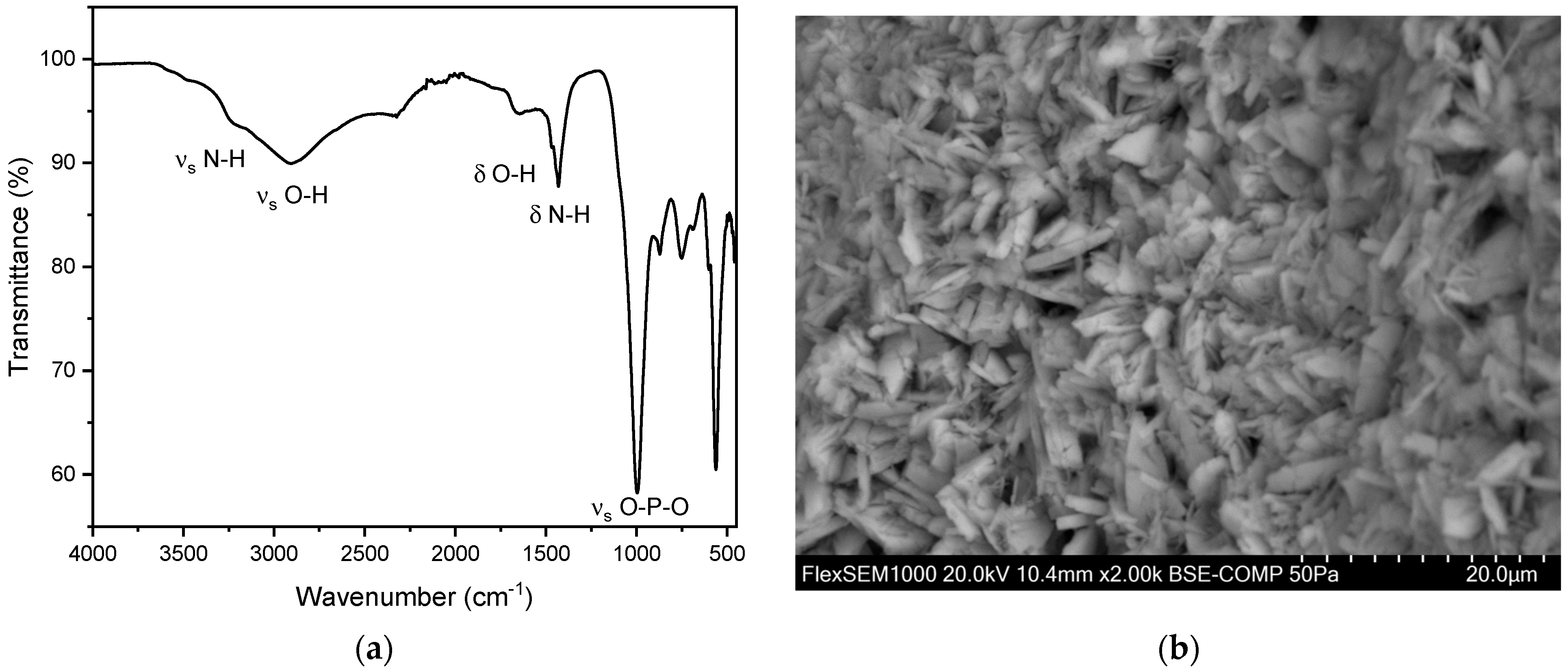 Crystals 14 00854 g009