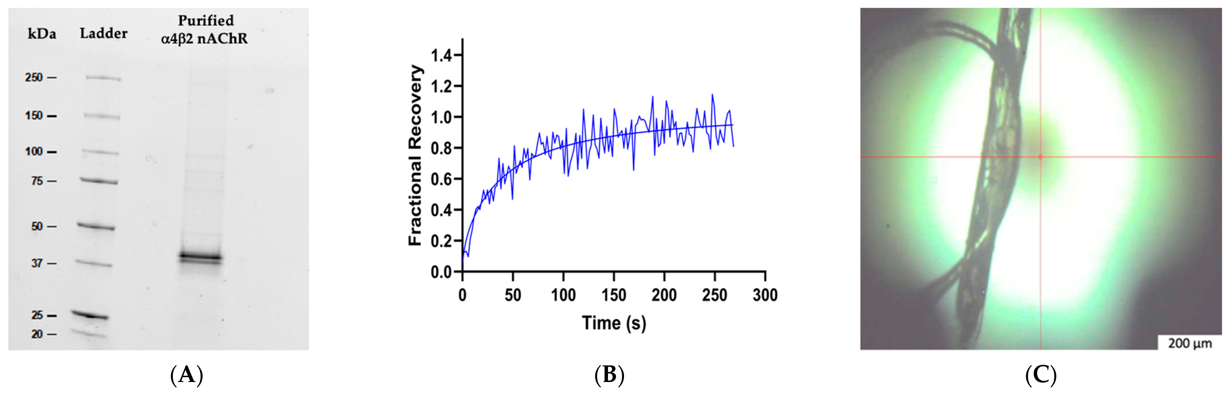 Crystals 14 00889 g001