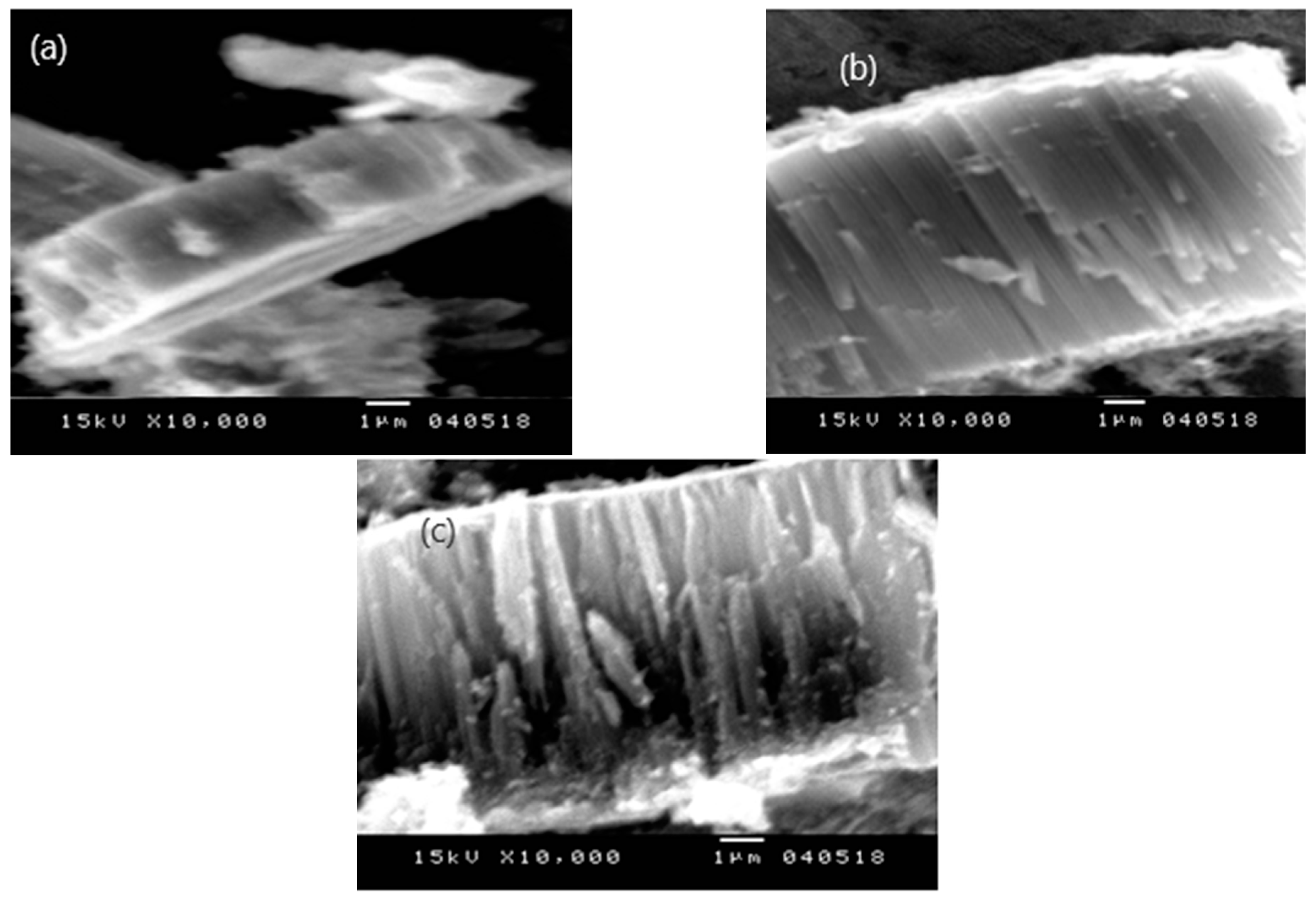 Crystals 14 00928 g003 Crystals 14 00928 g003