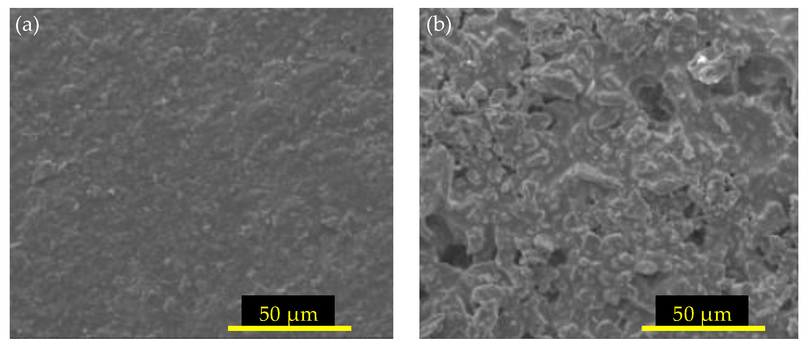 Crystals 14 00936 g004