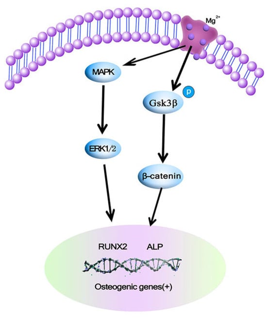 Crystals 14 00939 g002