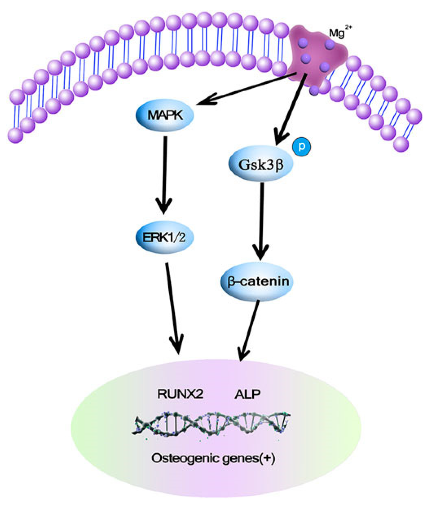 Crystals 14 00939 g002