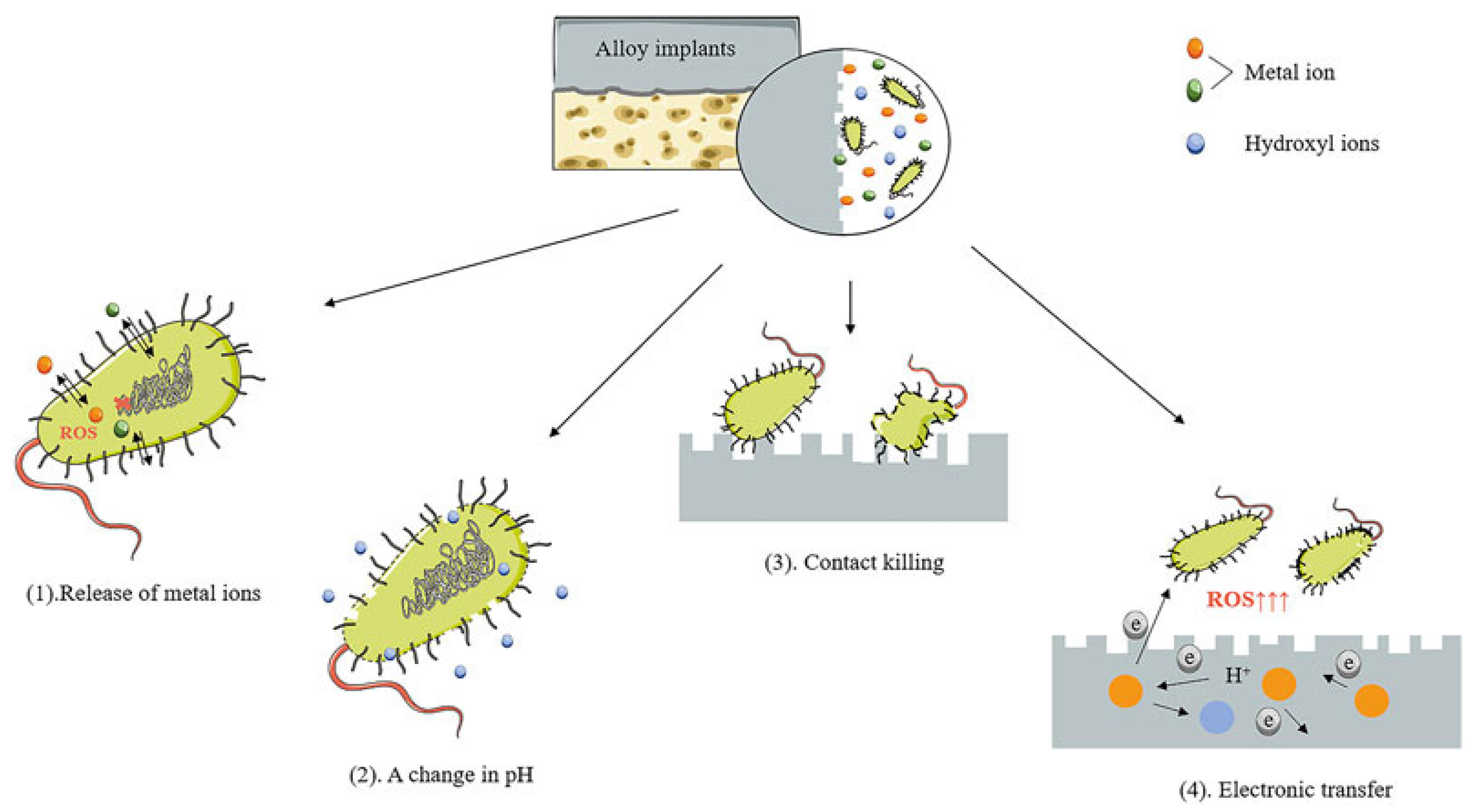 Crystals 14 00939 g011