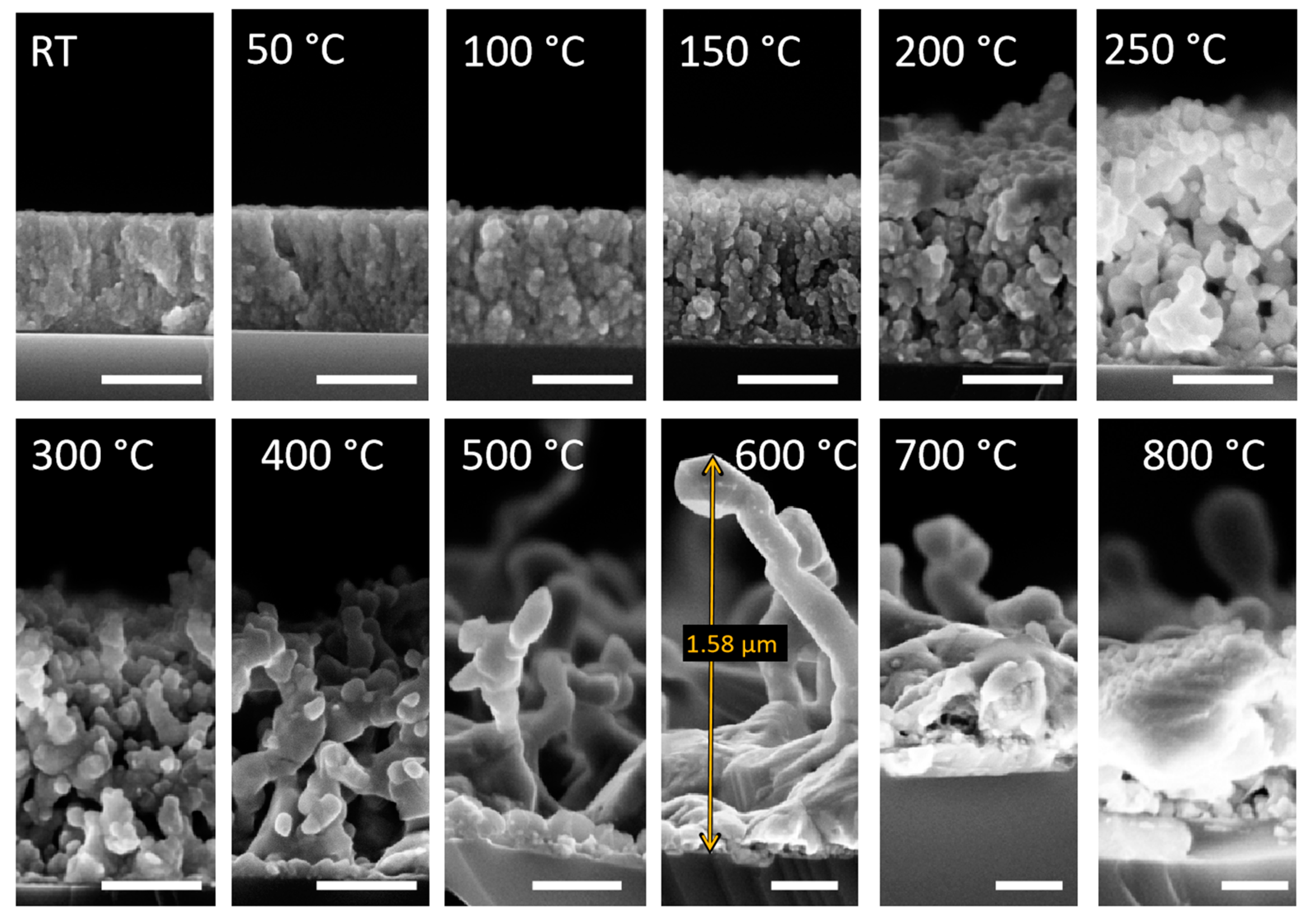Crystals 14 00965 g005