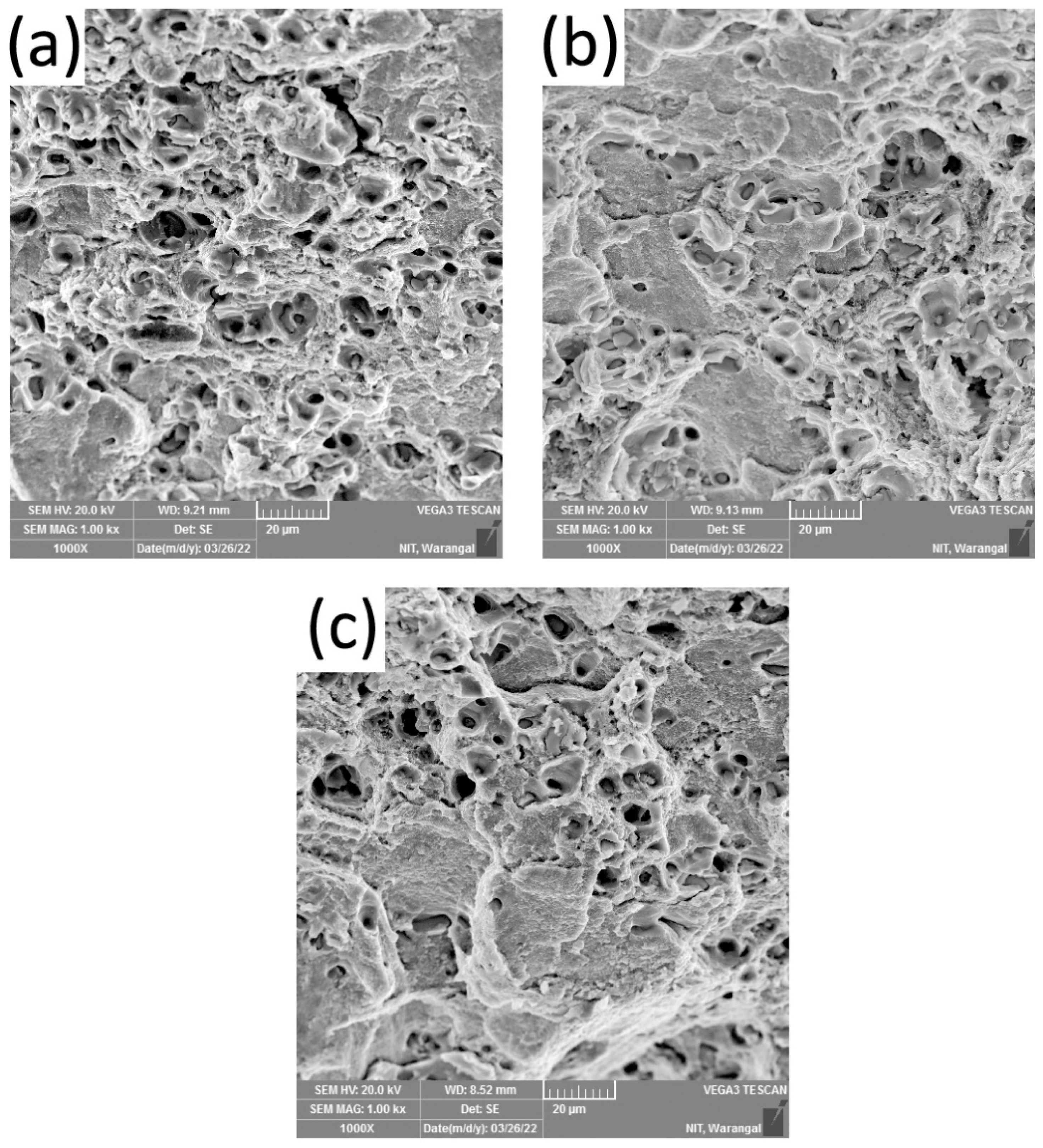 Crystals 14 01011 g013