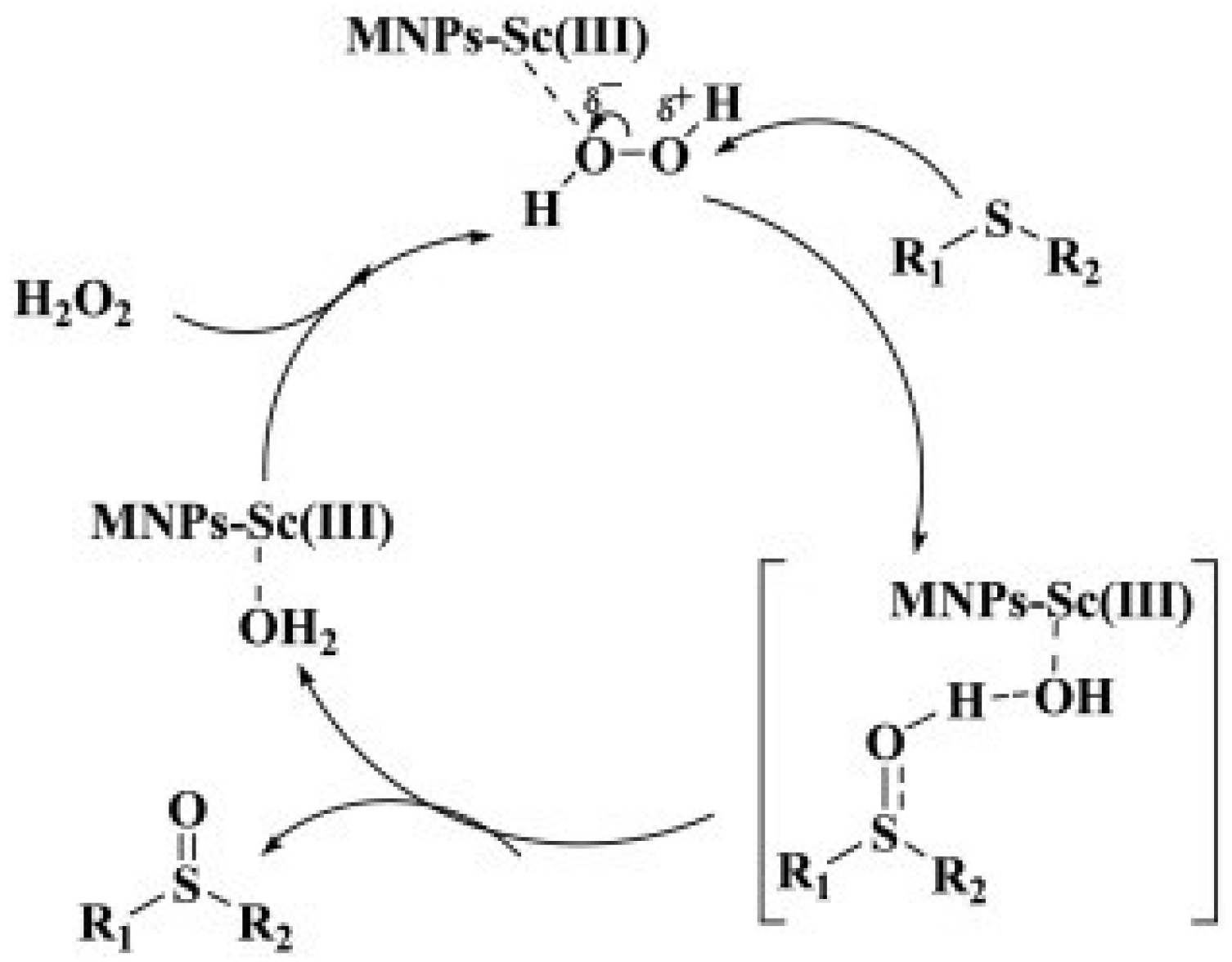 Crystals 14 01031 g009