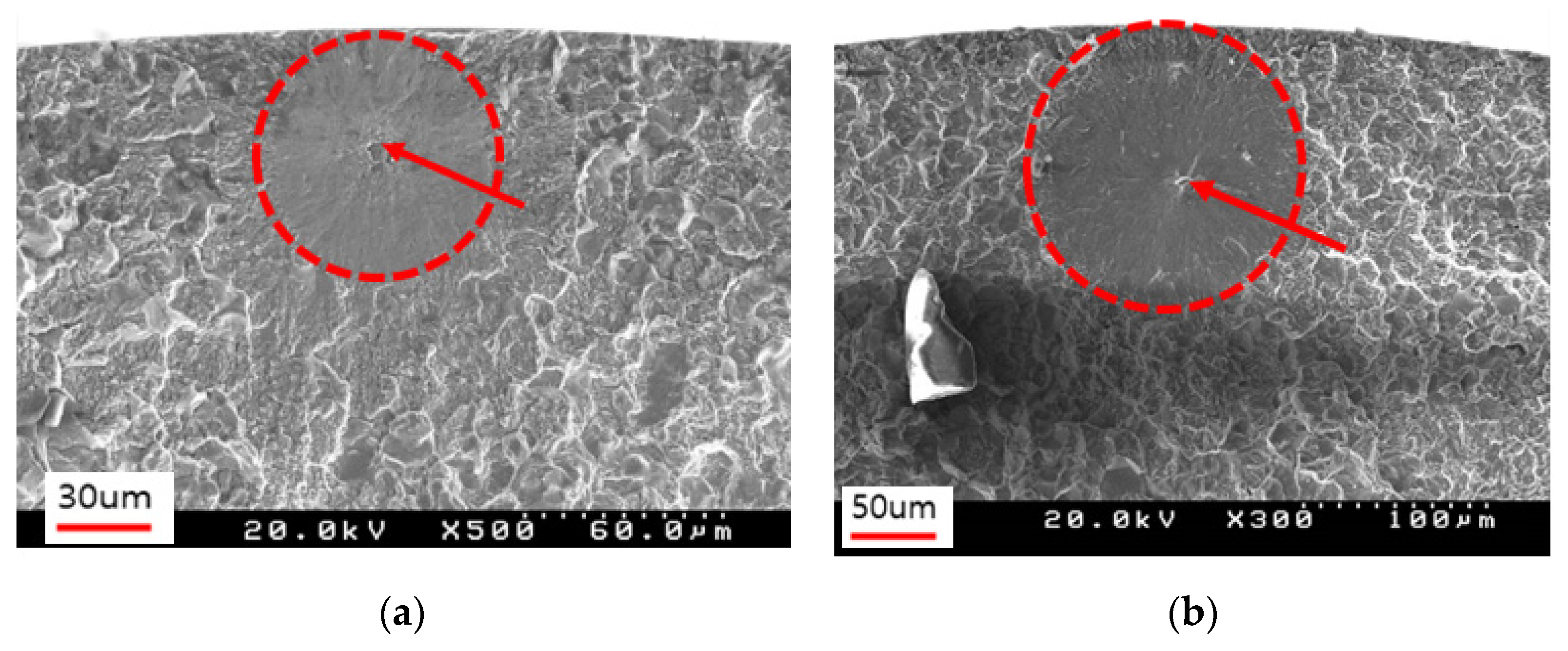 Crystals 14 01040 g010