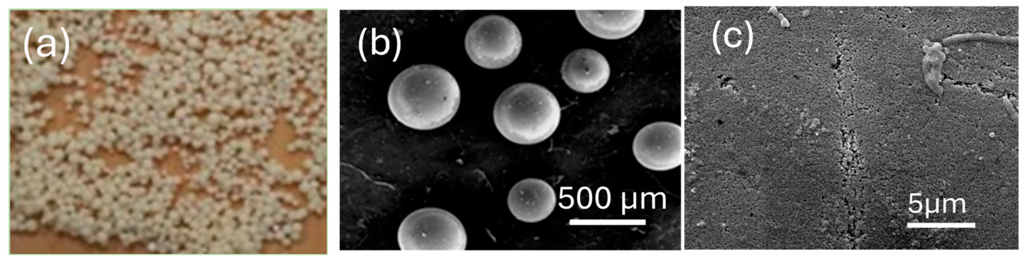 Crystals 14 01051 g001