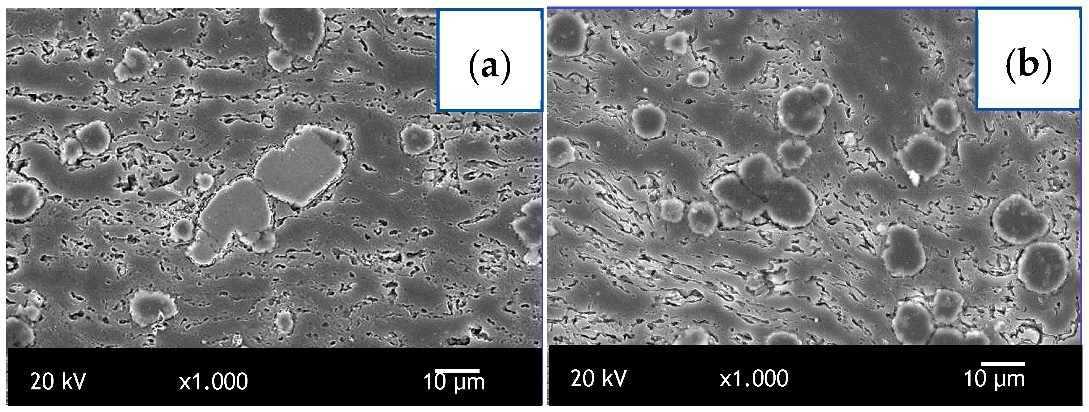 Crystals 14 01060 g002