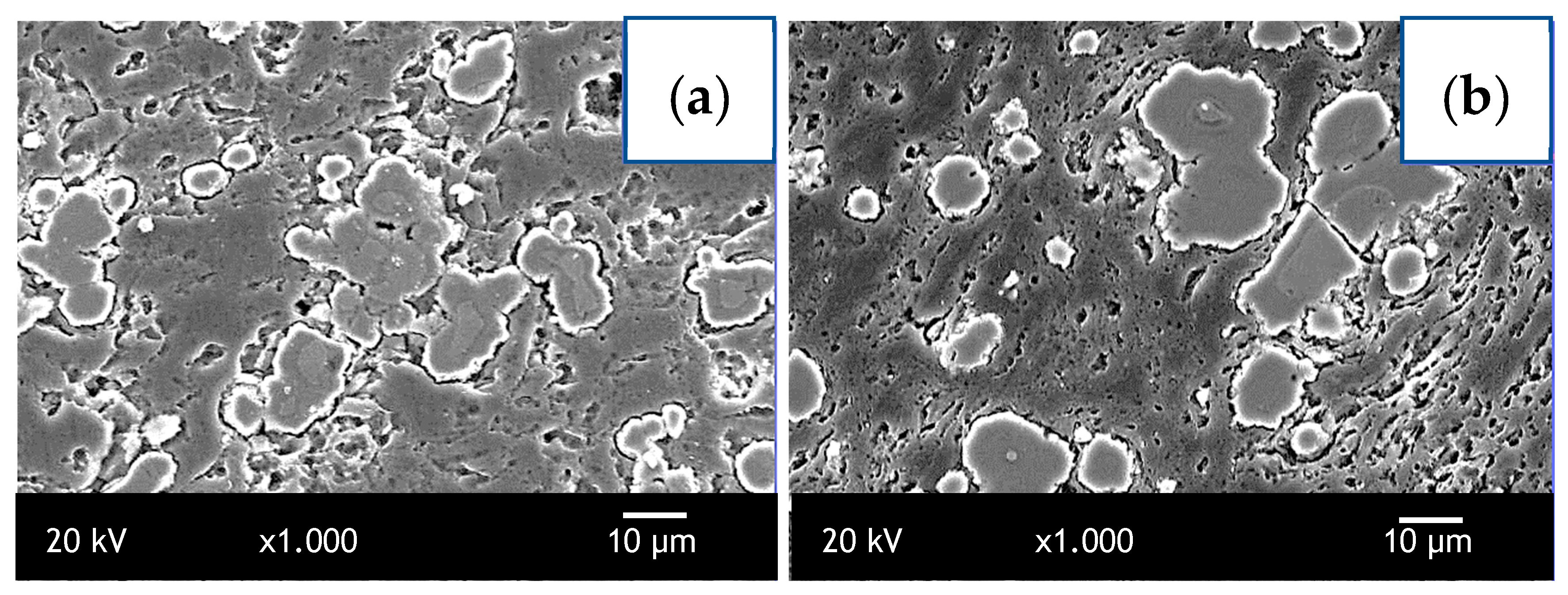 Crystals 14 01060 g004