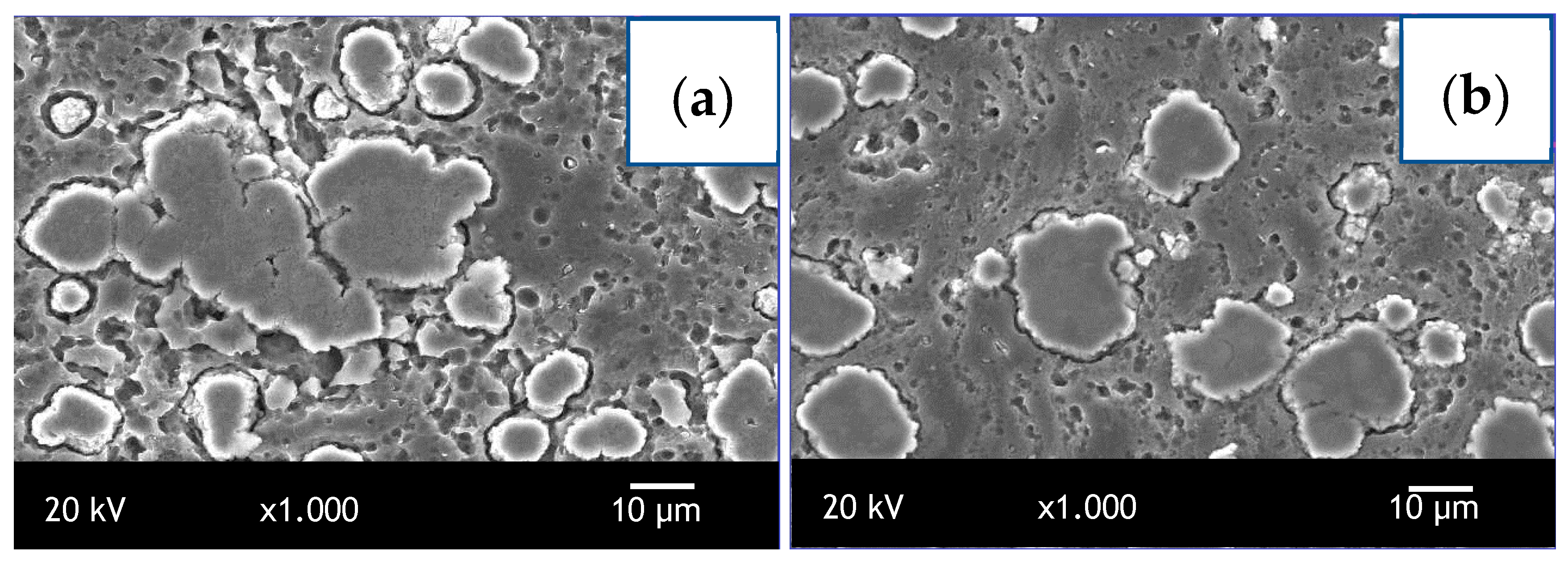 Crystals 14 01060 g006
