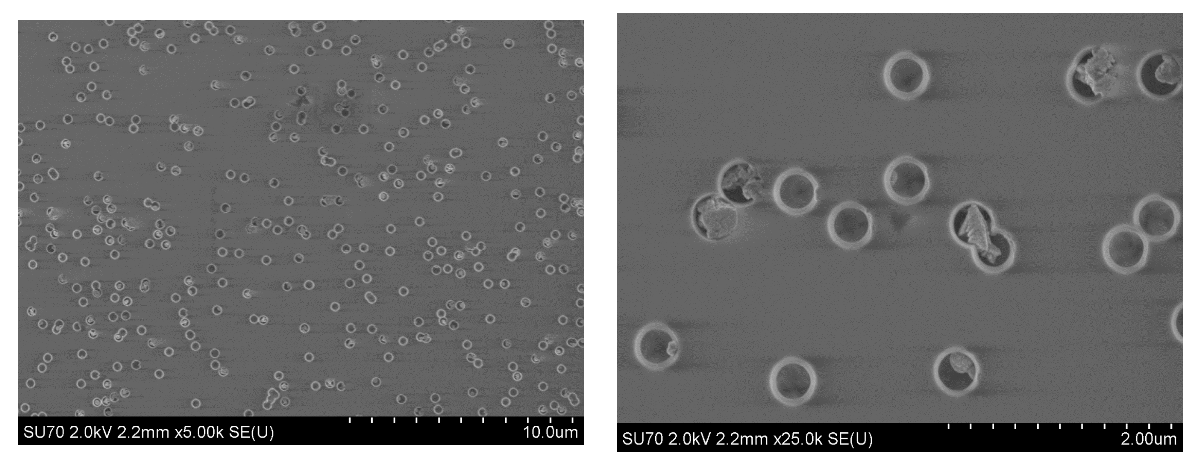 Crystals 14 01087 g009