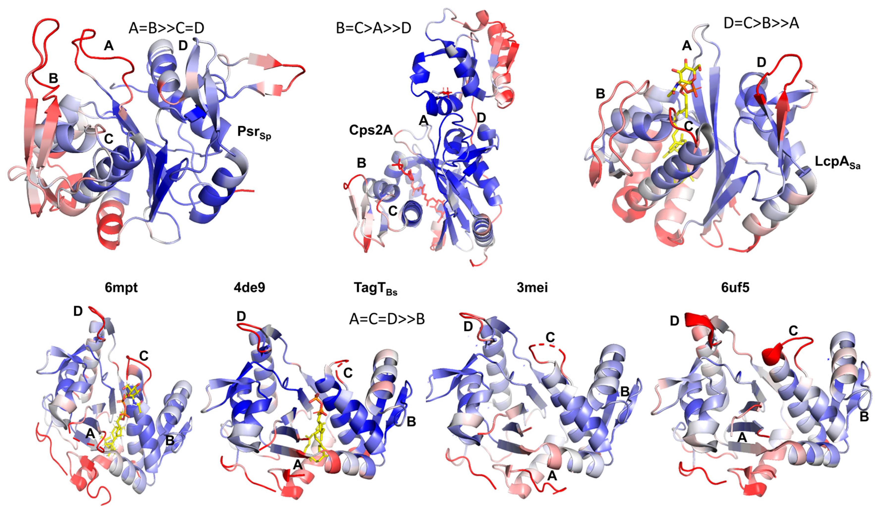 Crystals 14 01094 g004