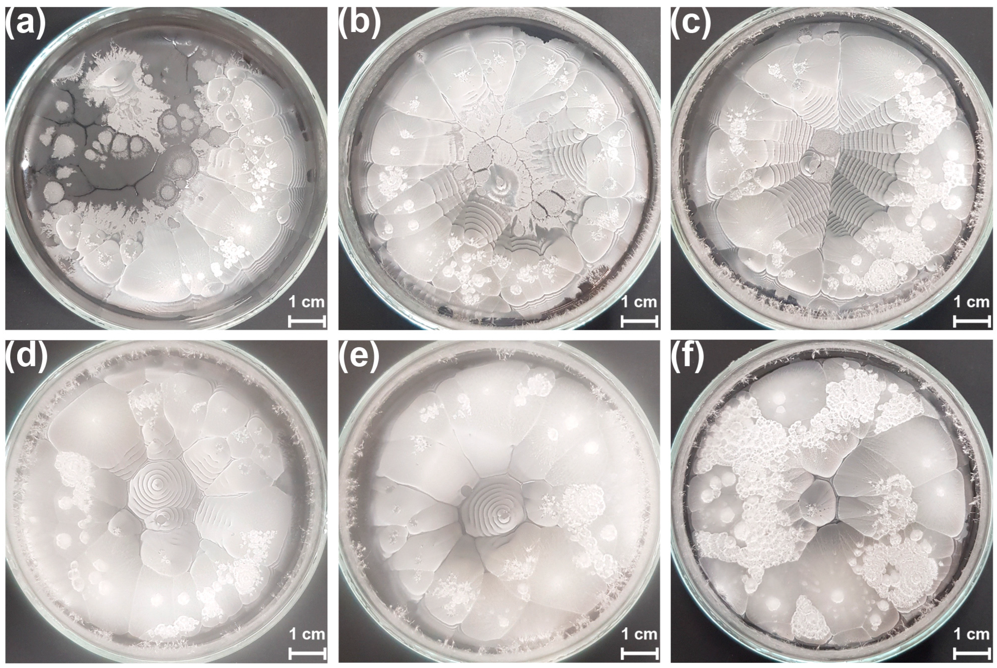 Crystals 15 00017 g001