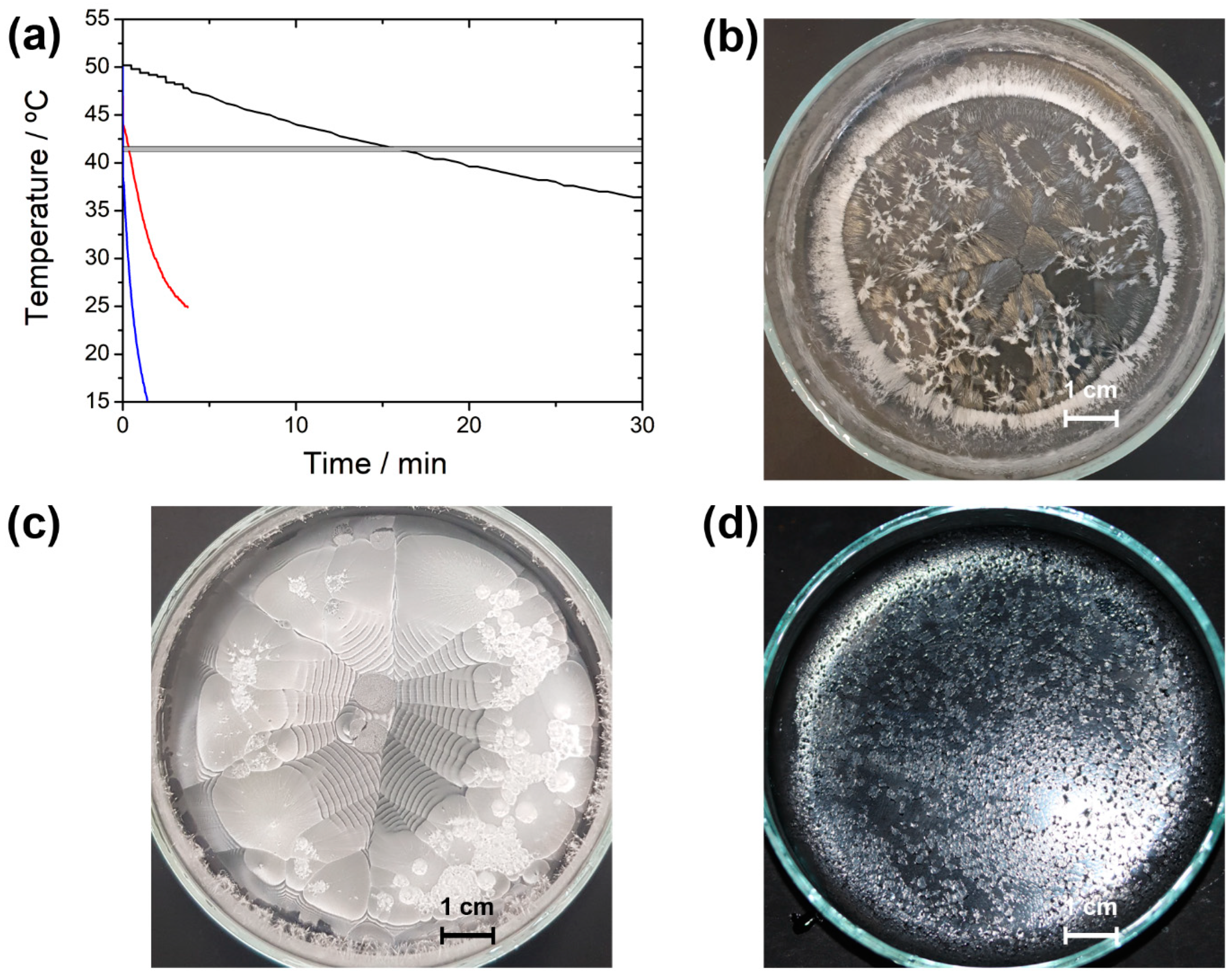 Crystals 15 00017 g005