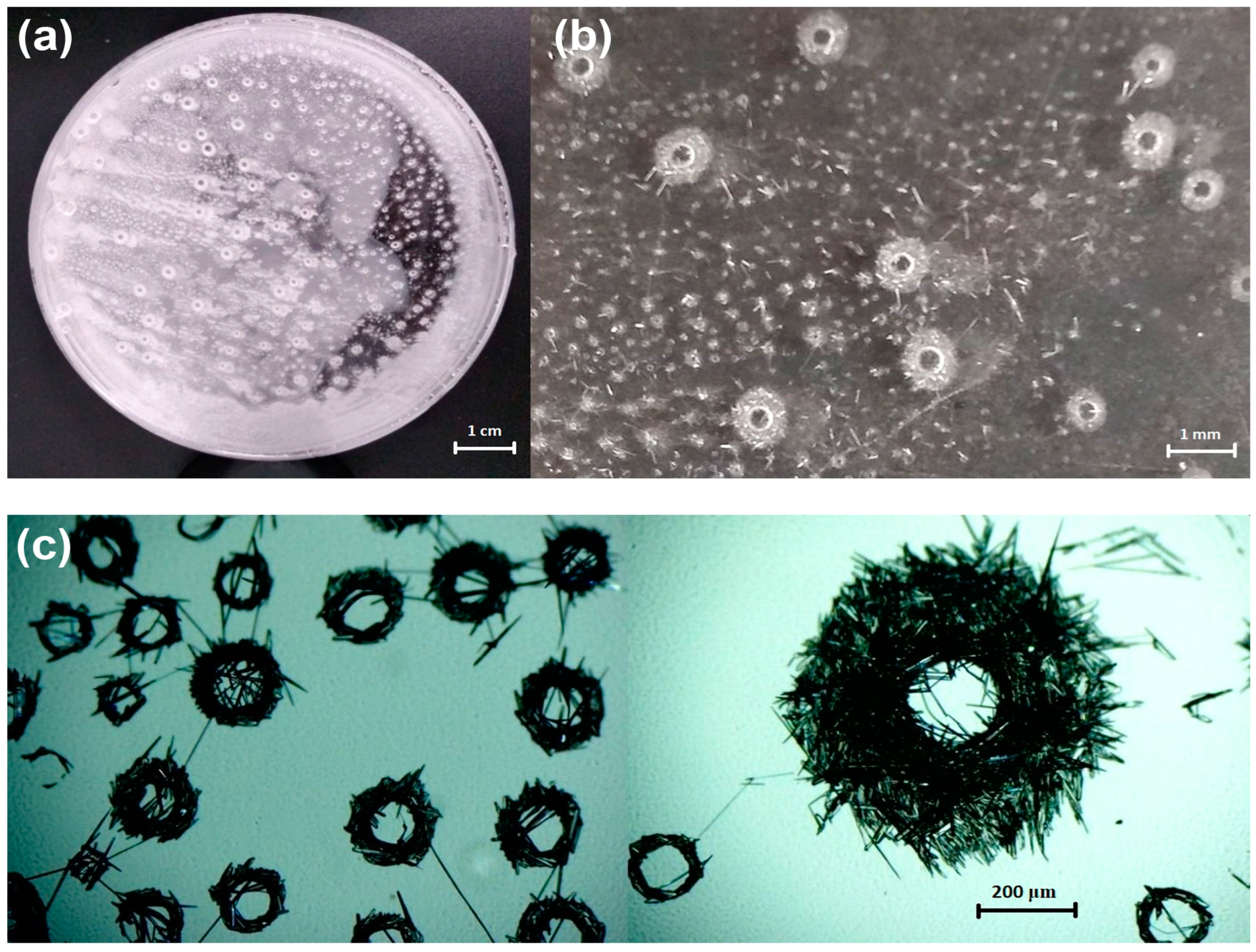 Crystals 15 00017 g006