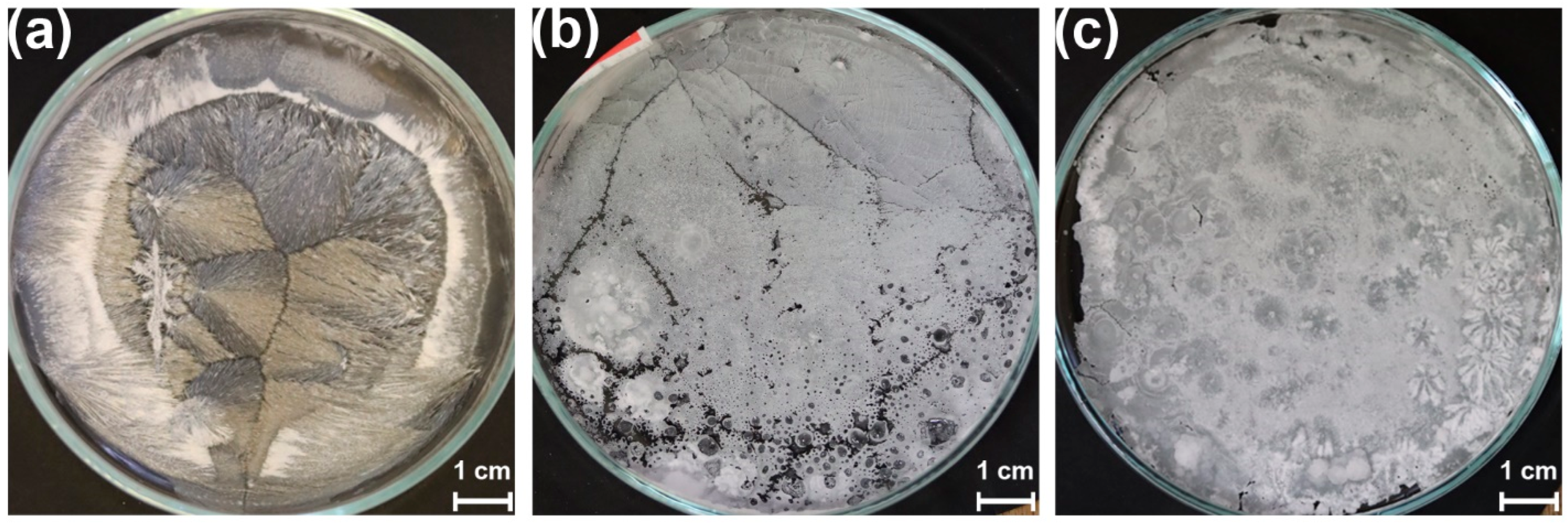 Crystals 15 00017 g008
