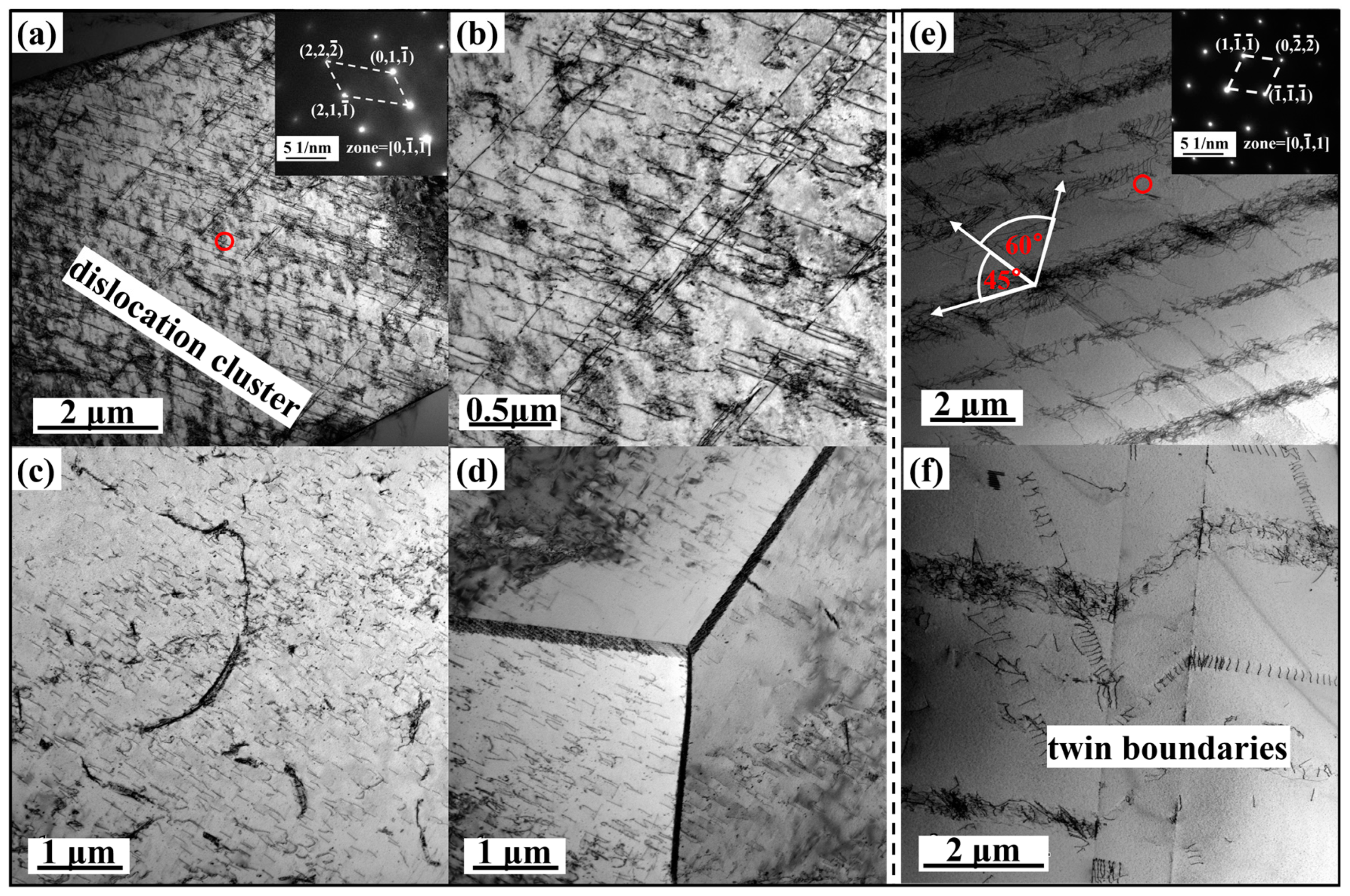 Crystals 15 00044 g006 Crystals 15 00044 g006