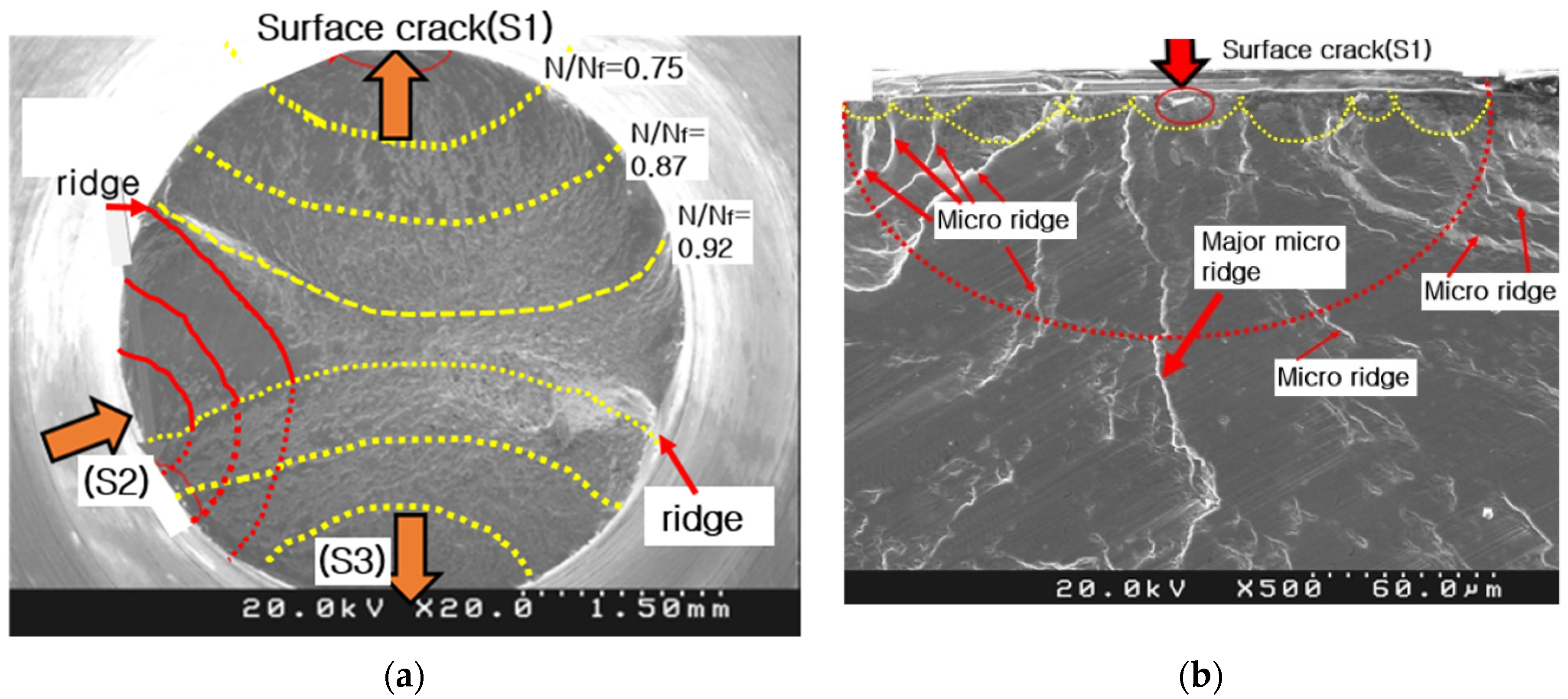 Crystals 15 00045 g008