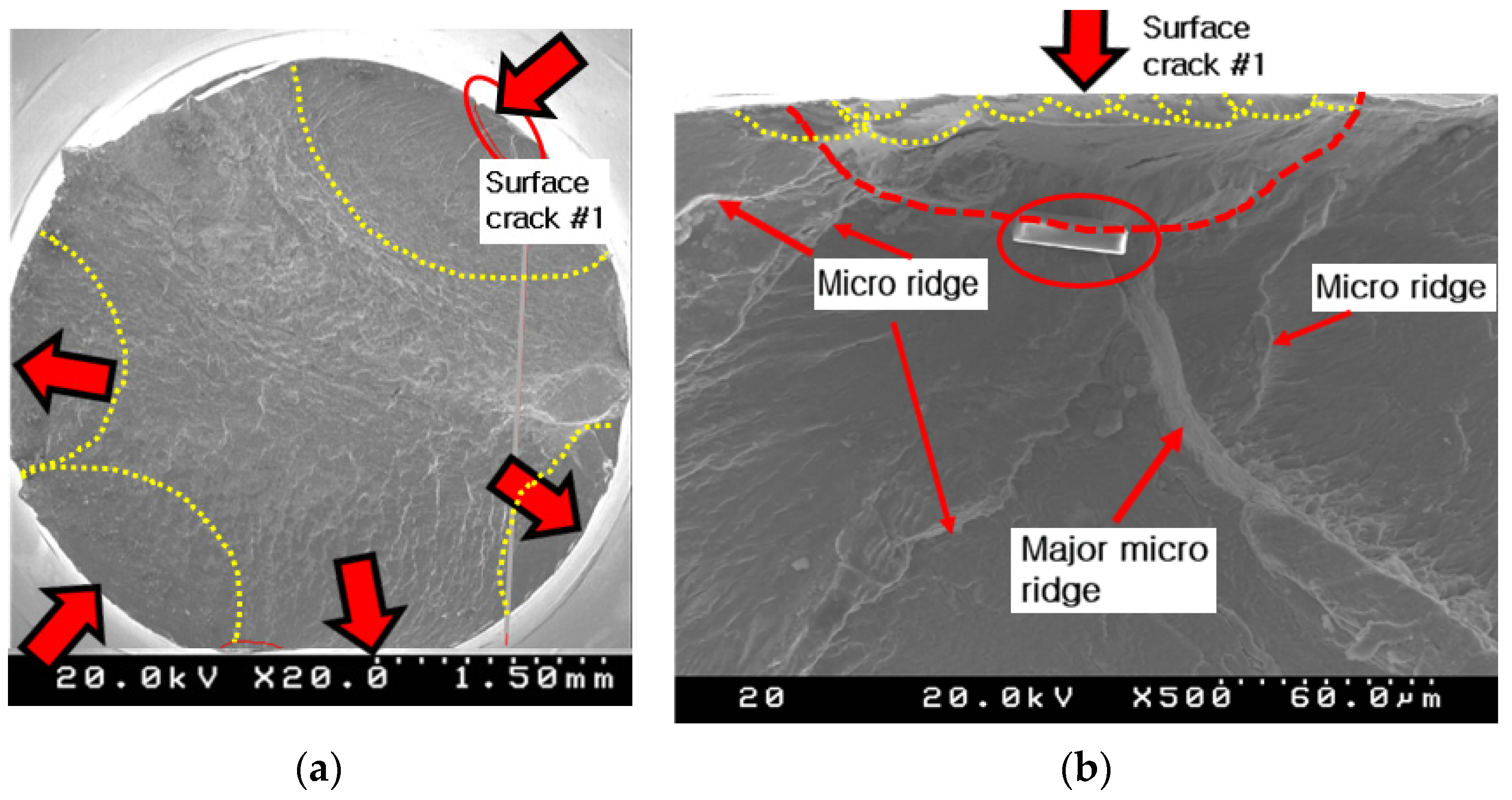 Crystals 15 00045 g009