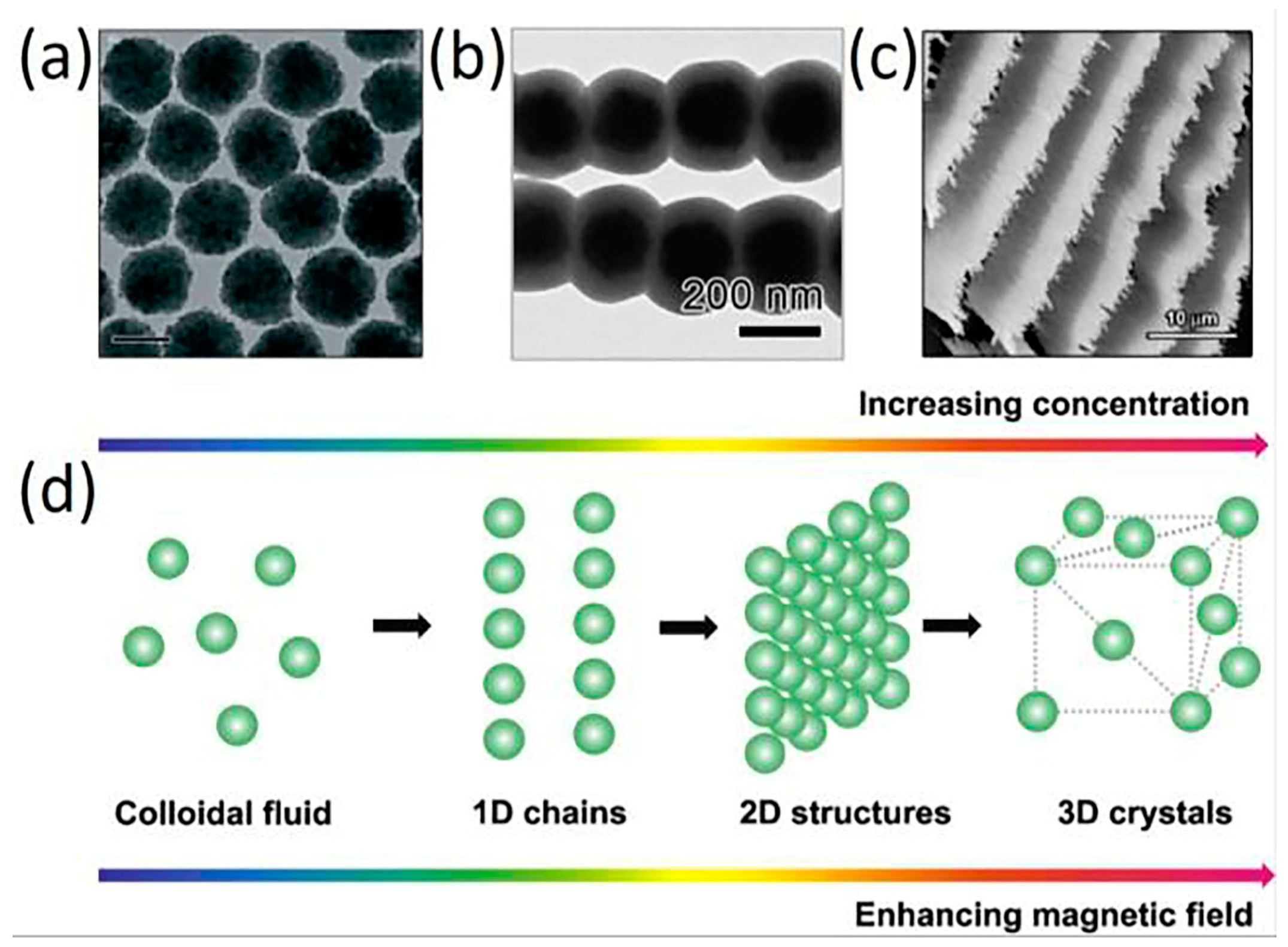 Crystals 15 00124 g009