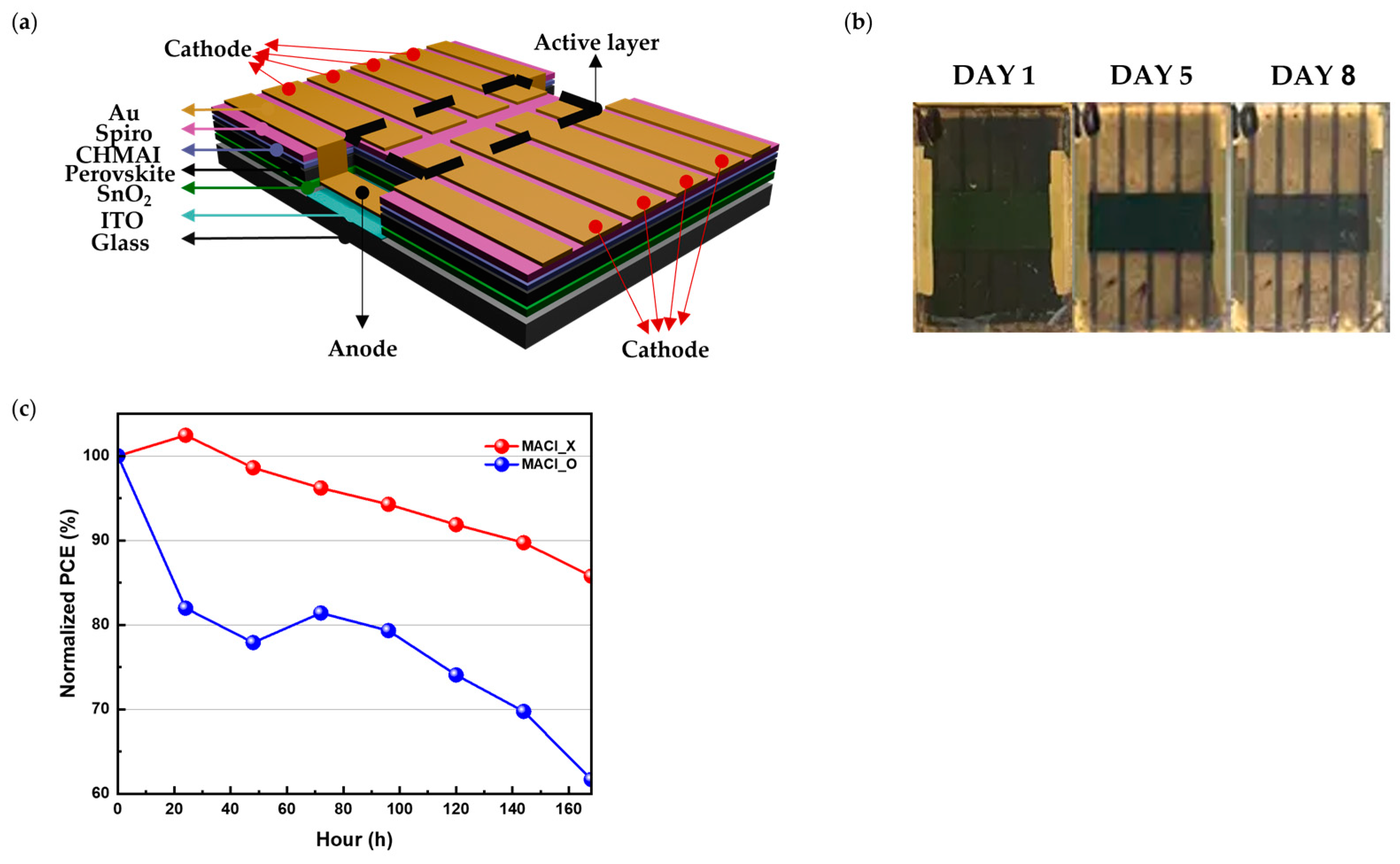 Crystals 15 00152 g001