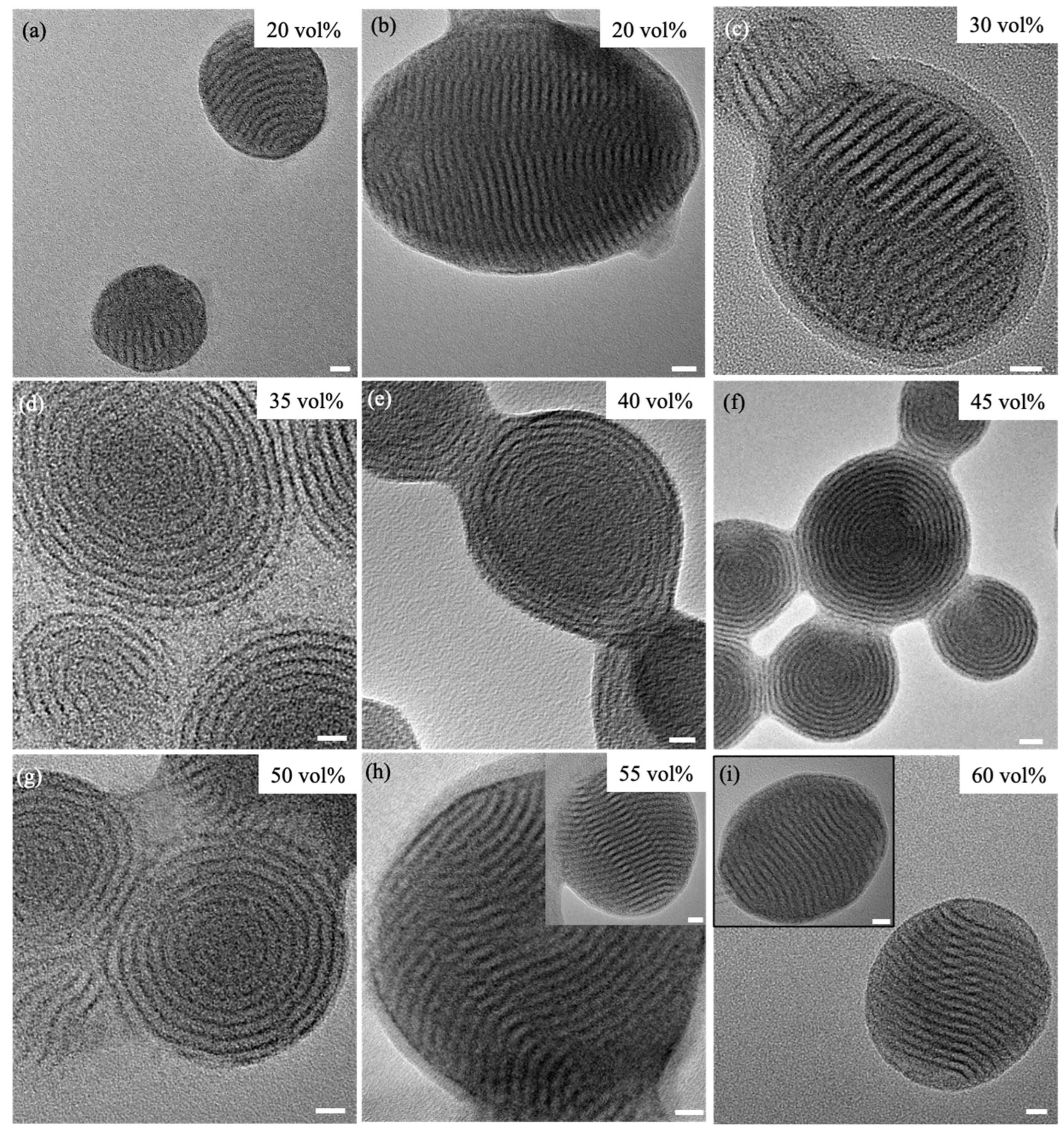 Crystals 15 00177 g002 Crystals 15 00177 g002