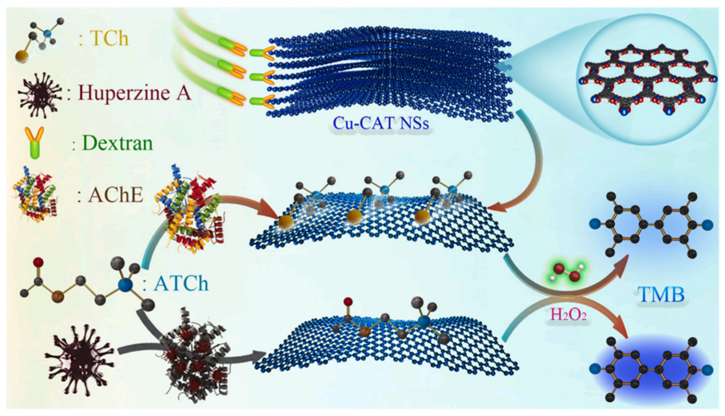 Crystals 15 00182 g004