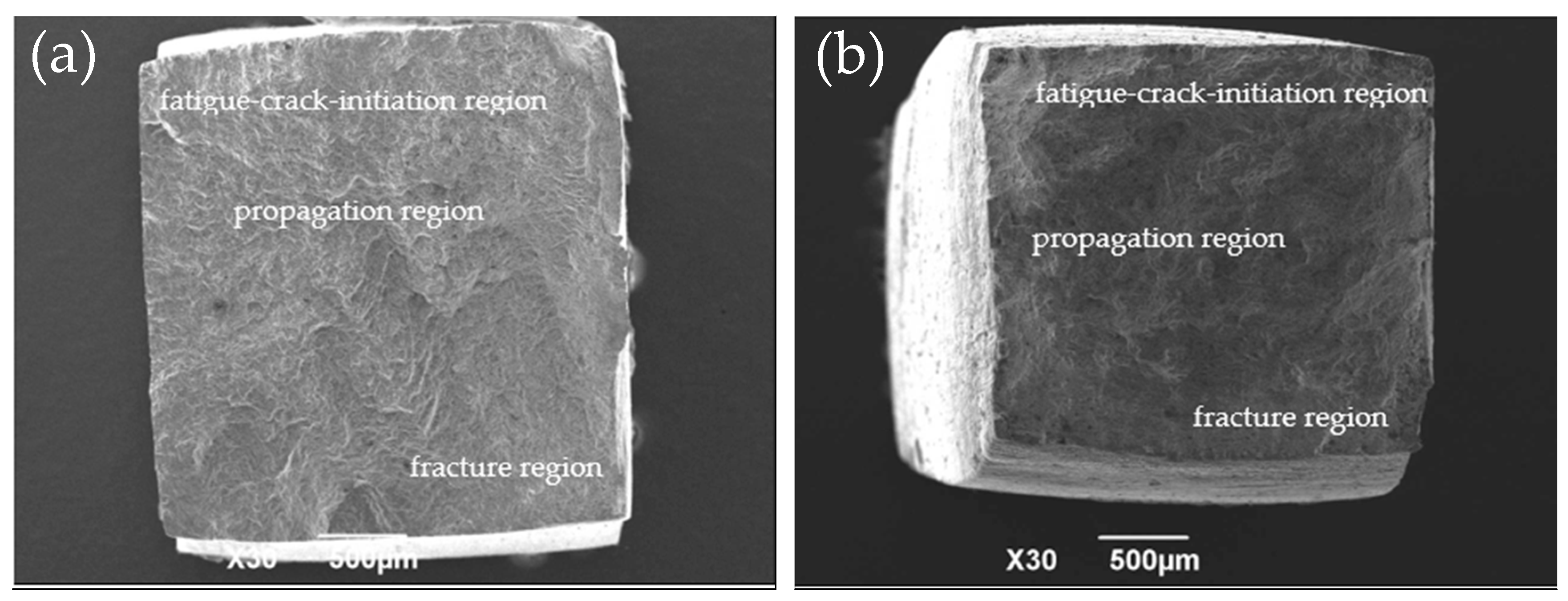 Crystals 15 00224 g013 Crystals 15 00224 g013